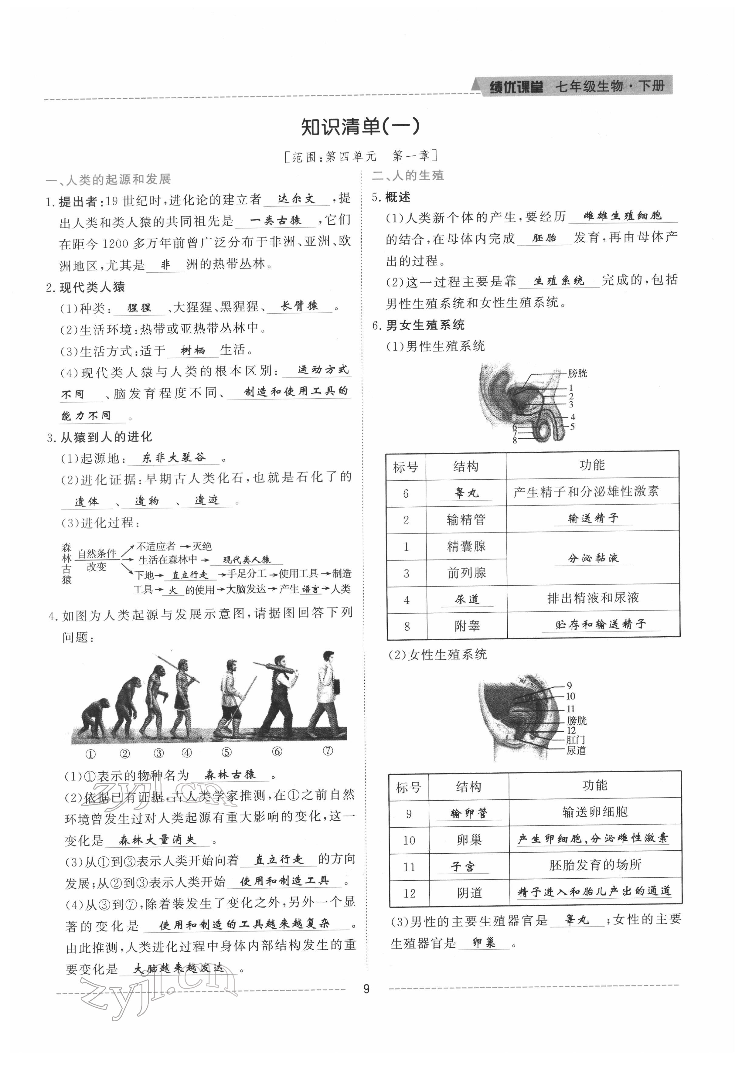 2022年績優(yōu)課堂高效提升滿分備考七年級生物下冊人教版 參考答案第9頁