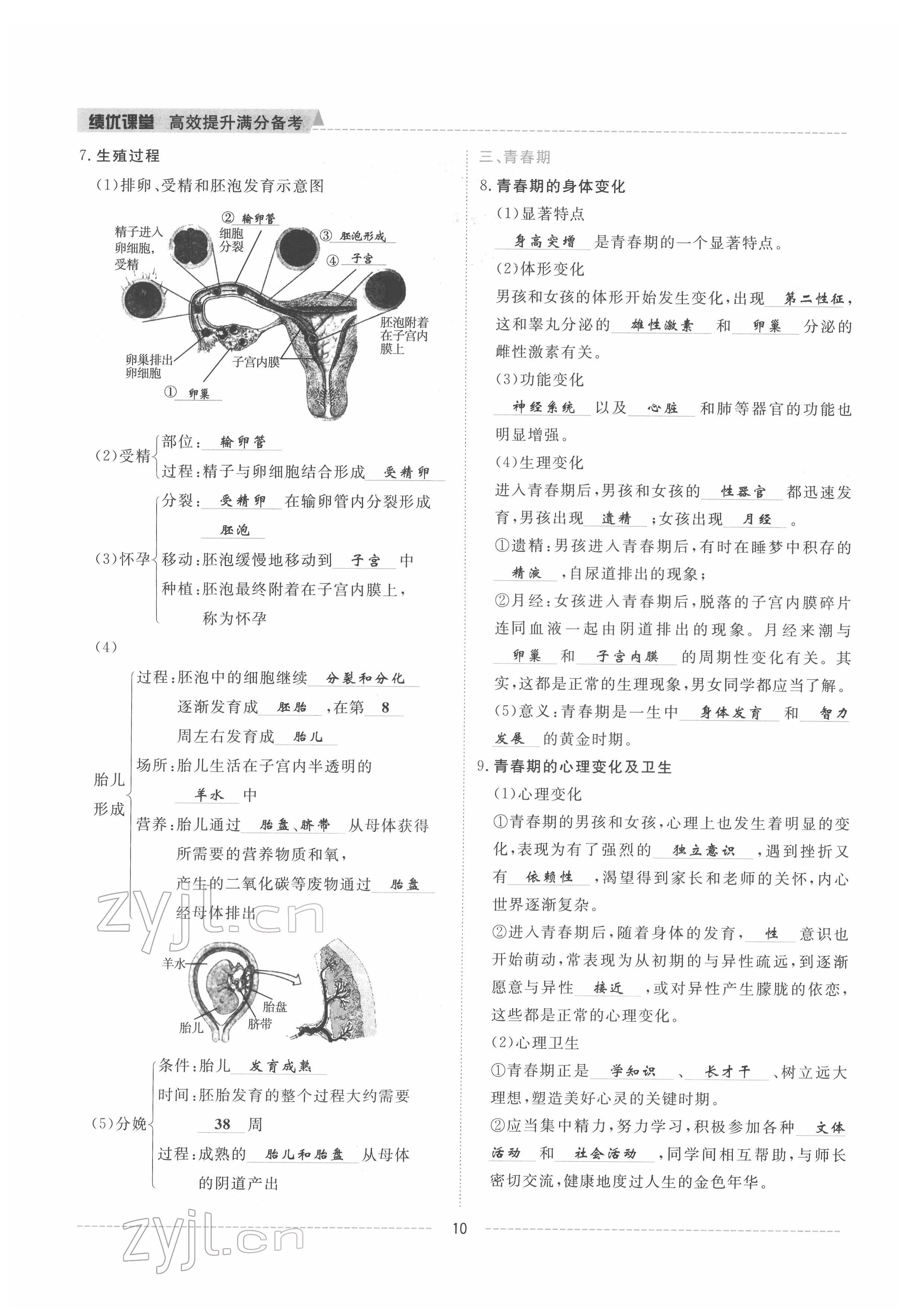 2022年績(jī)優(yōu)課堂高效提升滿分備考七年級(jí)生物下冊(cè)人教版 參考答案第10頁