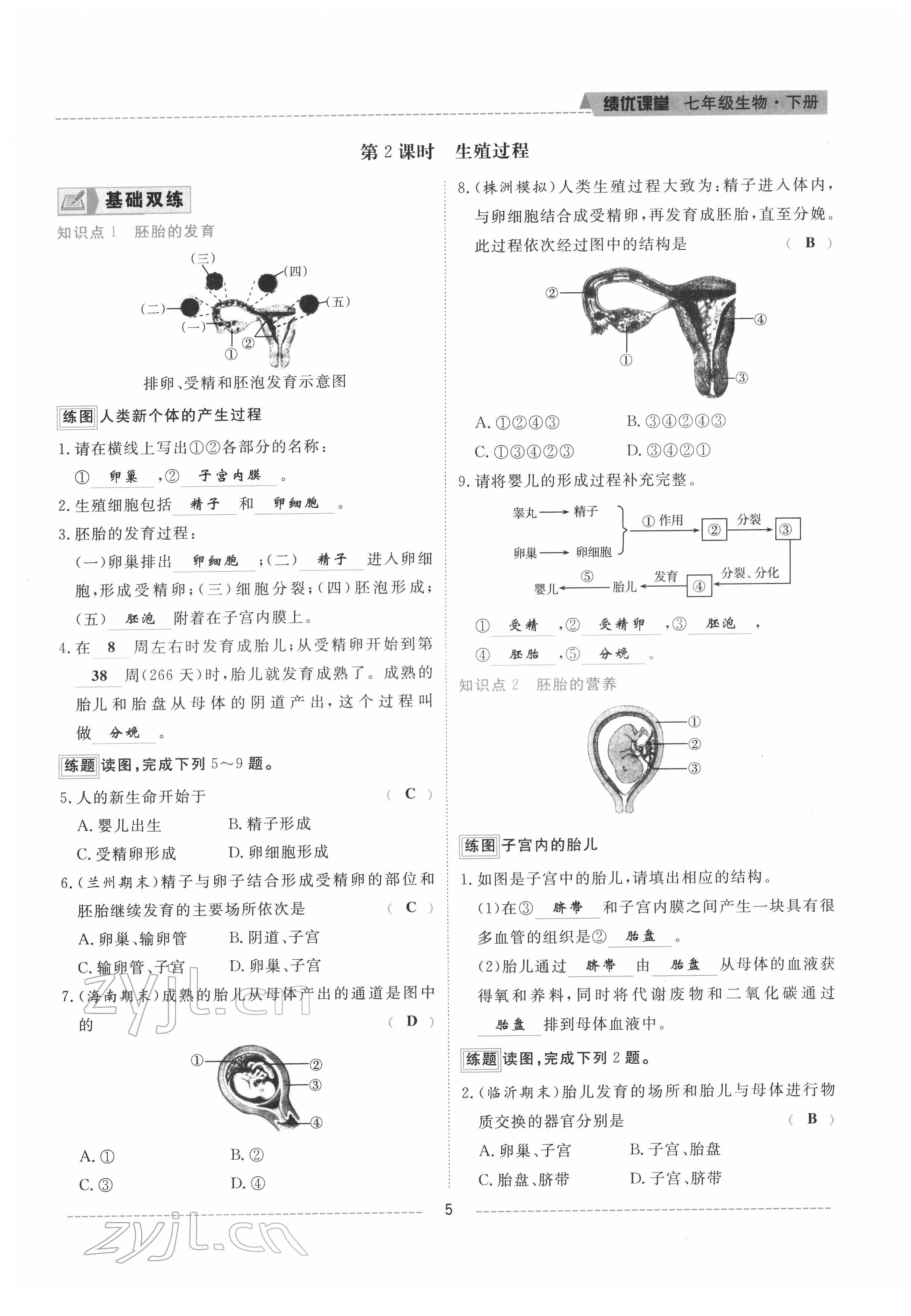 2022年績優(yōu)課堂高效提升滿分備考七年級生物下冊人教版 參考答案第5頁