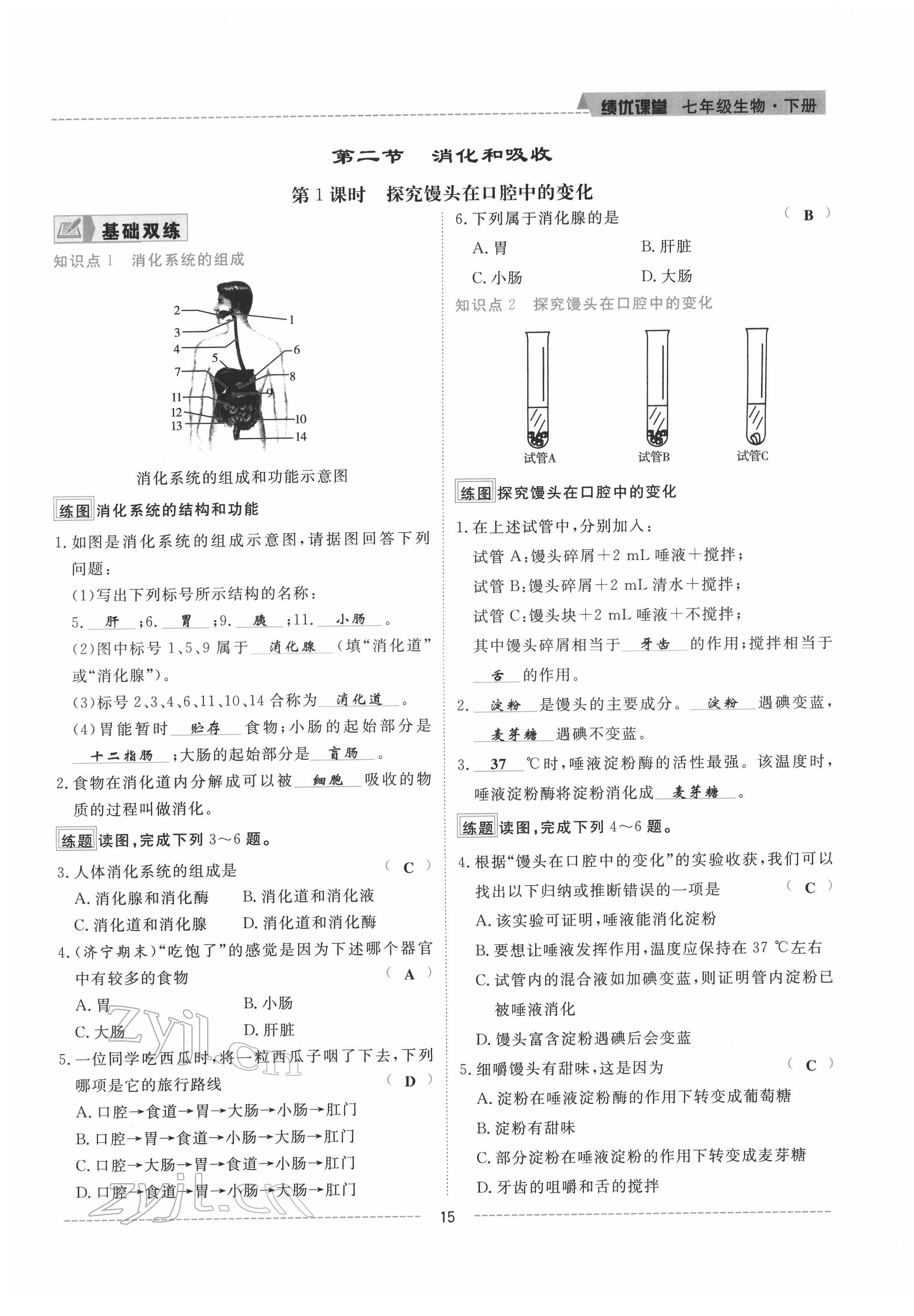 2022年績優(yōu)課堂高效提升滿分備考七年級生物下冊人教版 參考答案第15頁