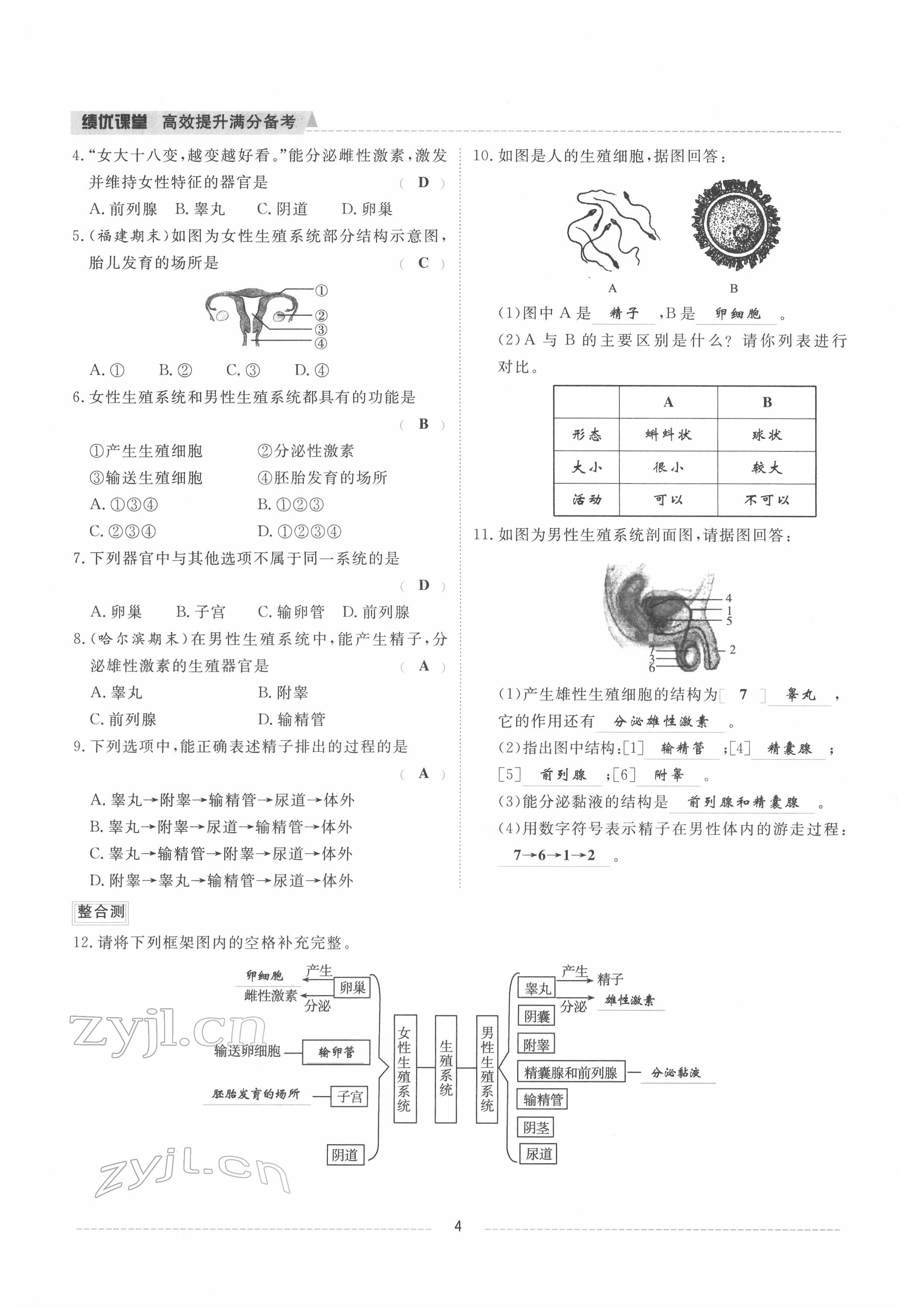 2022年績優(yōu)課堂高效提升滿分備考七年級生物下冊人教版 參考答案第4頁