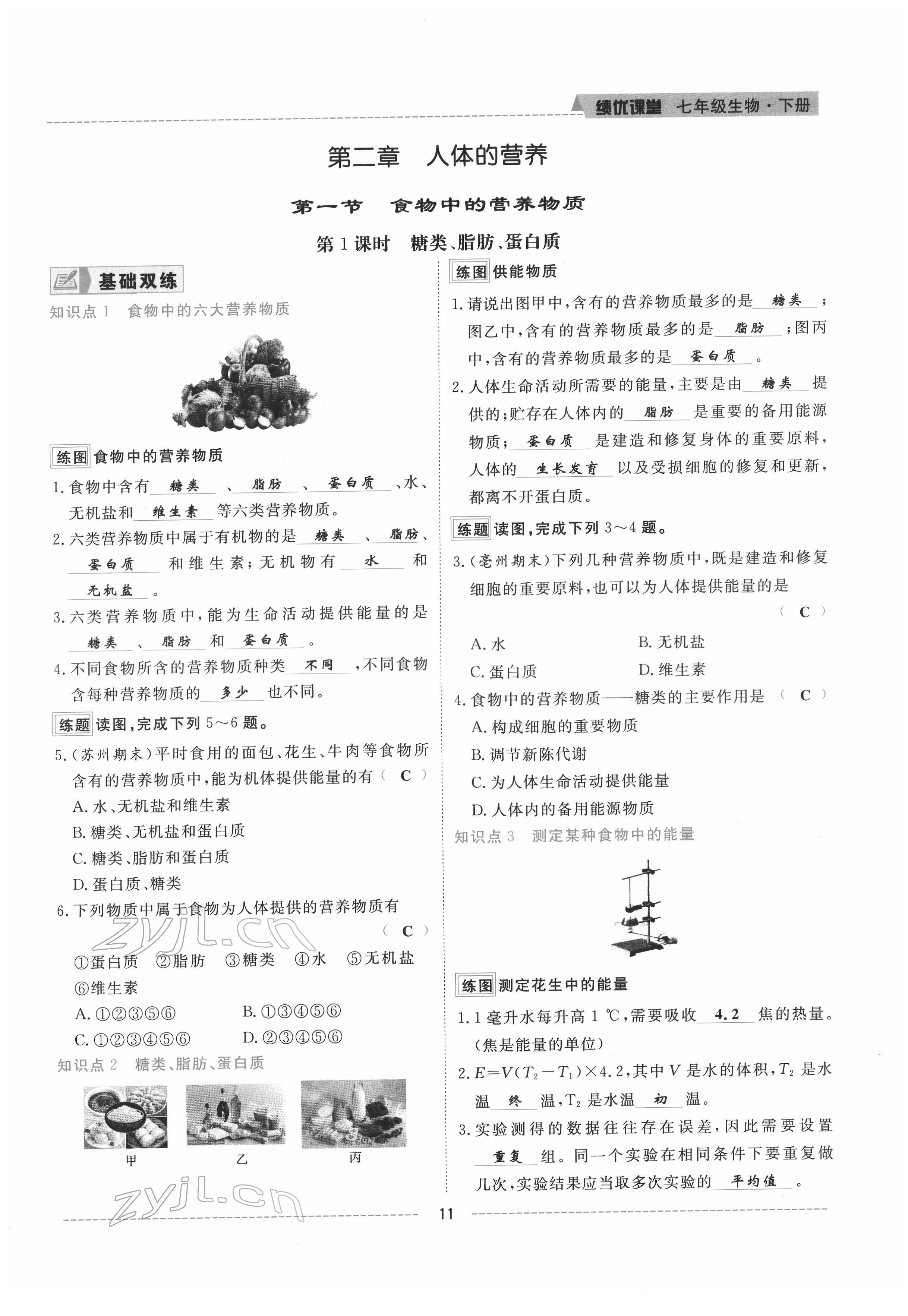 2022年績(jī)優(yōu)課堂高效提升滿分備考七年級(jí)生物下冊(cè)人教版 參考答案第11頁(yè)