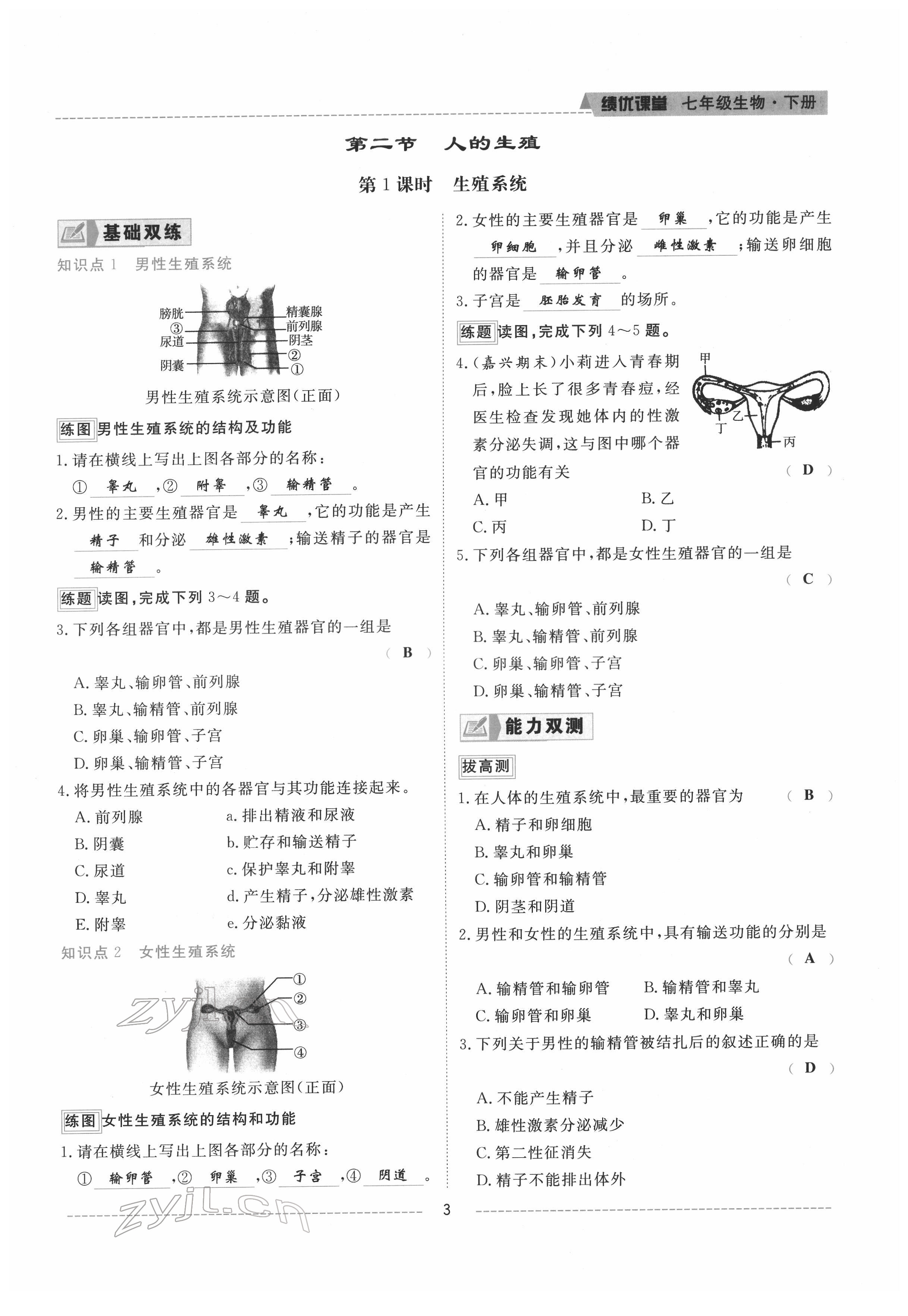 2022年績(jī)優(yōu)課堂高效提升滿分備考七年級(jí)生物下冊(cè)人教版 參考答案第3頁