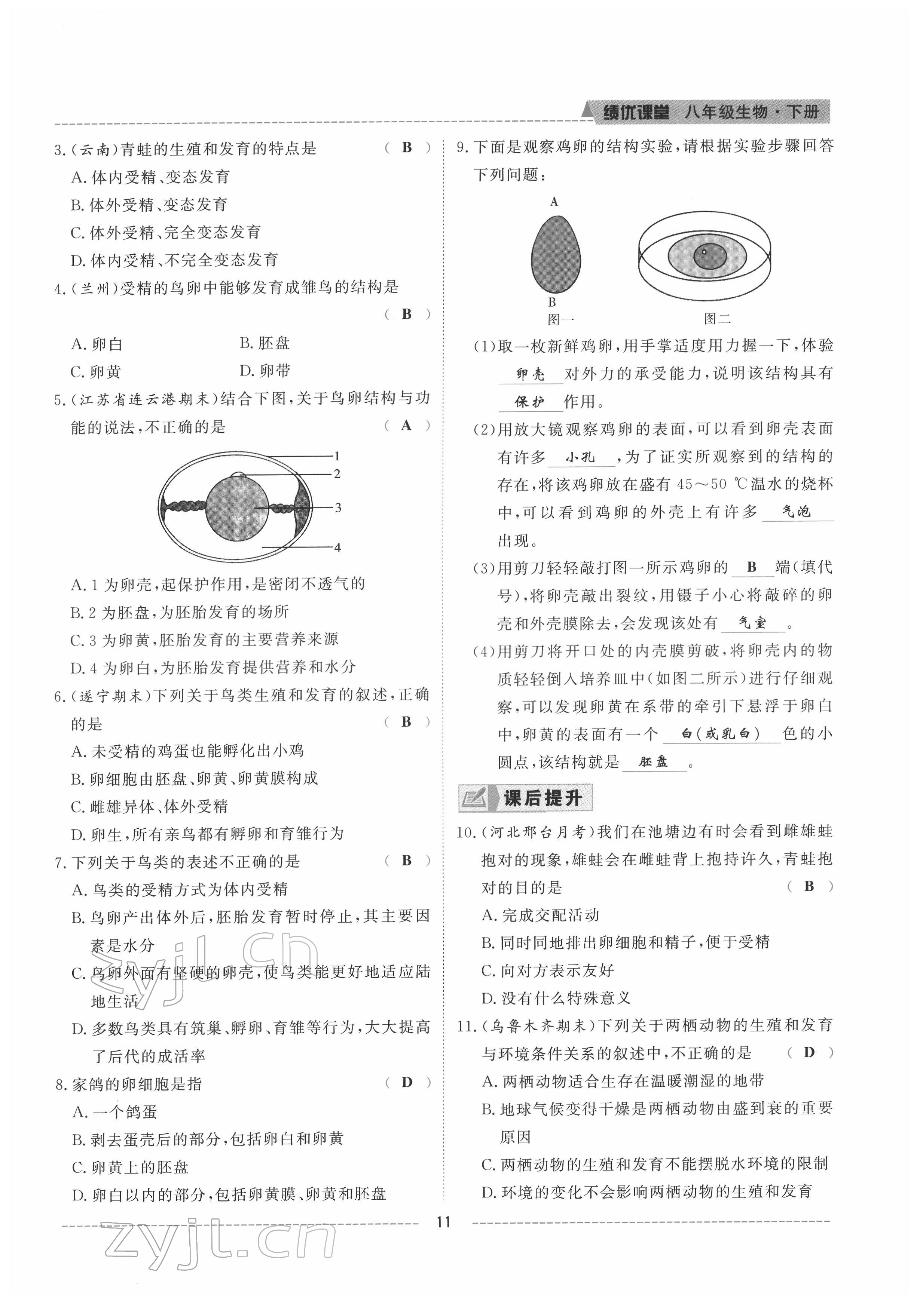 2022年績優(yōu)課堂高效提升滿分備考八年級生物下冊冀少版 參考答案第11頁