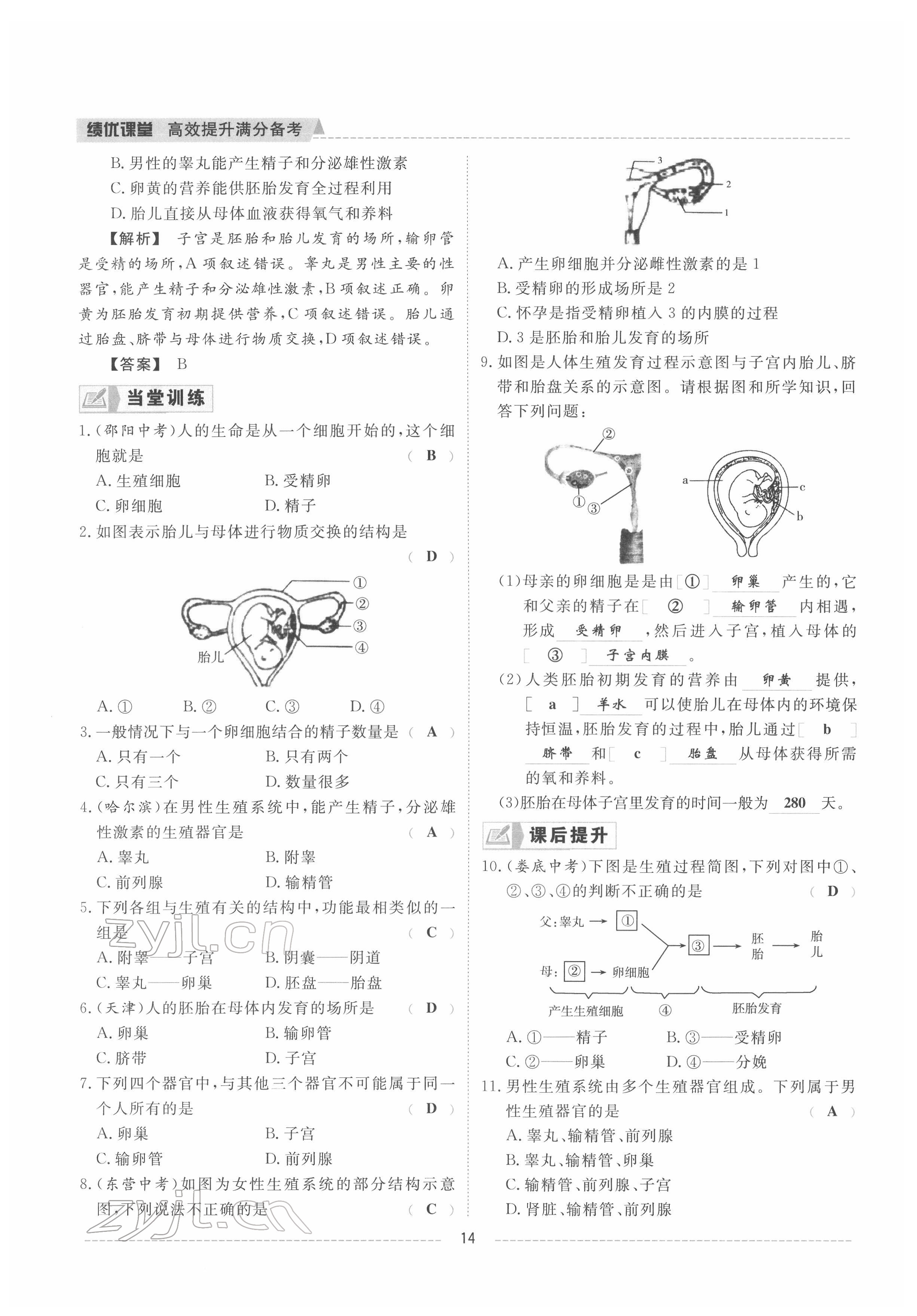 2022年績優(yōu)課堂高效提升滿分備考八年級生物下冊冀少版 參考答案第15頁