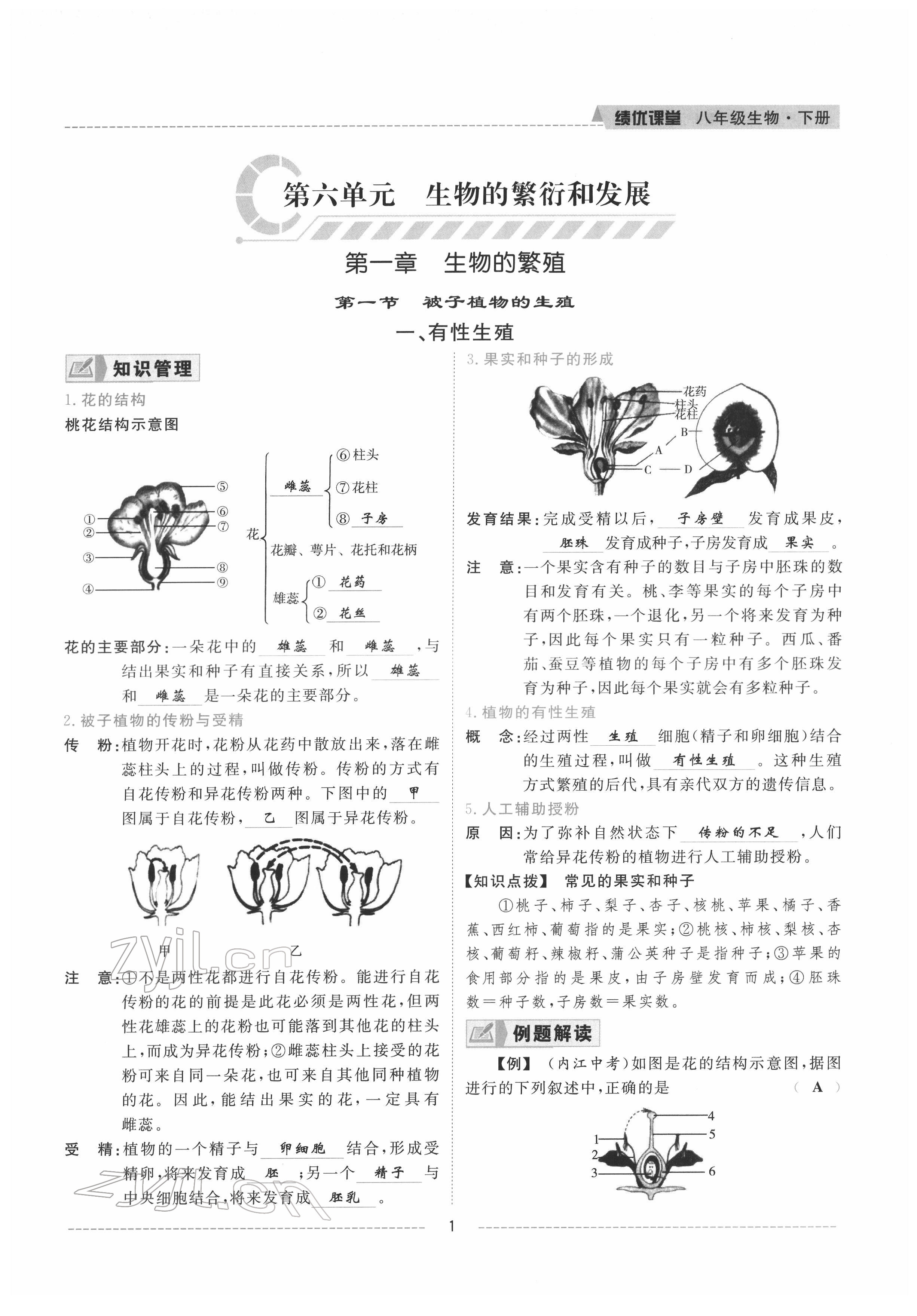 2022年績優(yōu)課堂高效提升滿分備考八年級生物下冊冀少版 參考答案第1頁