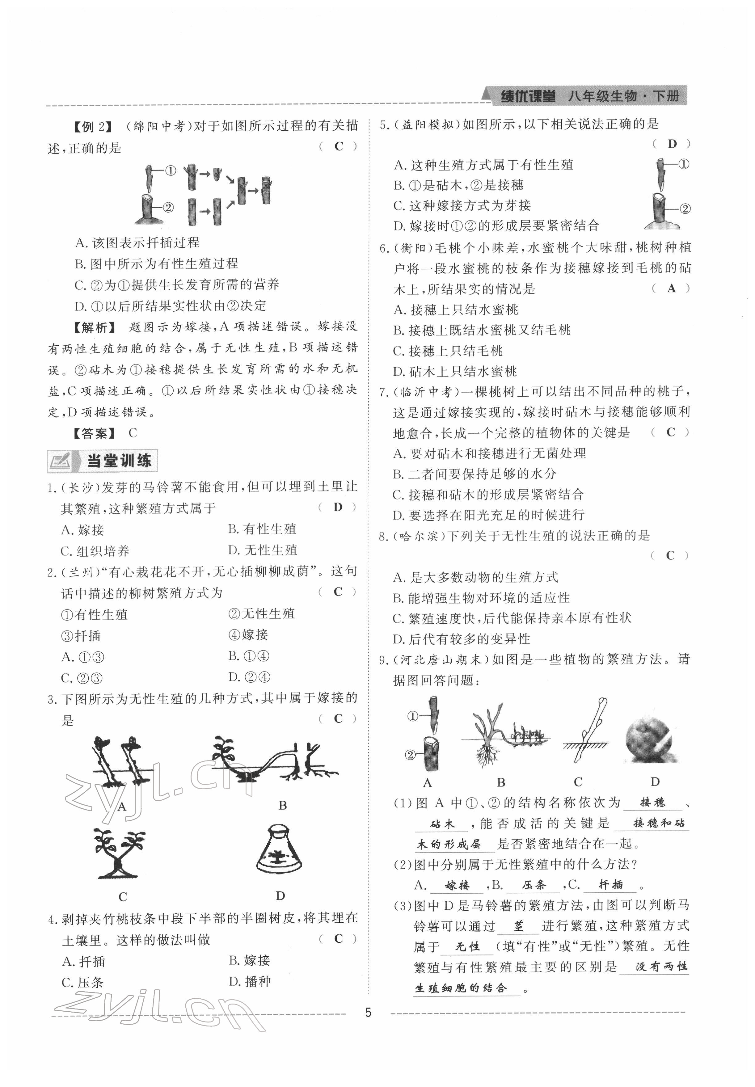 2022年績優(yōu)課堂高效提升滿分備考八年級生物下冊冀少版 參考答案第5頁