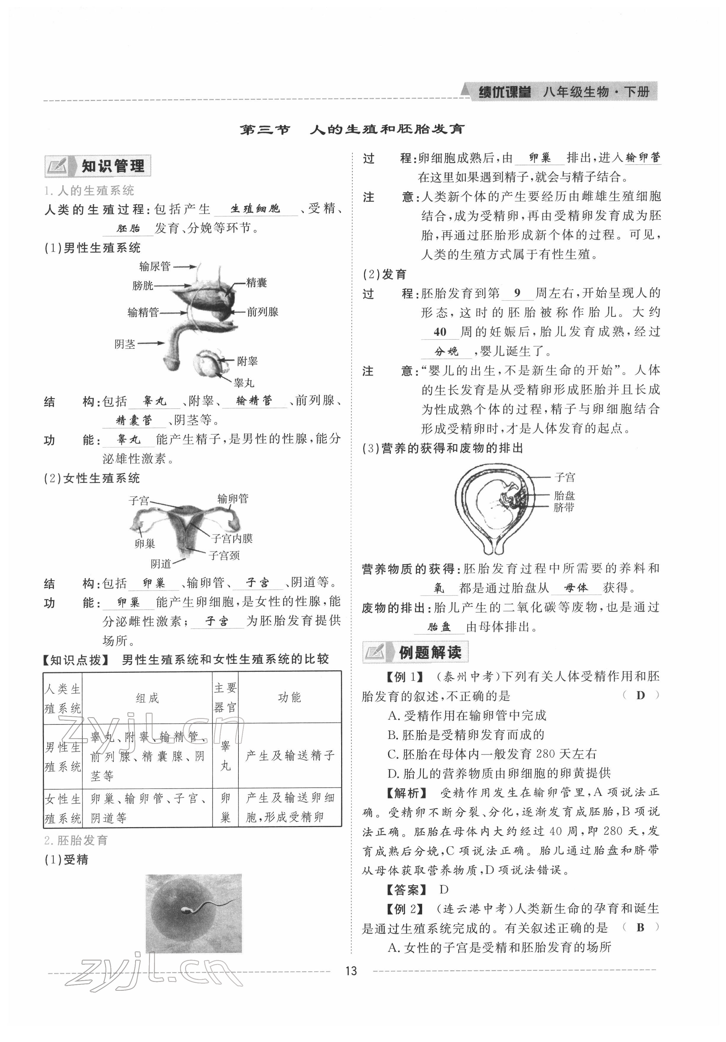 2022年績優(yōu)課堂高效提升滿分備考八年級生物下冊冀少版 參考答案第13頁