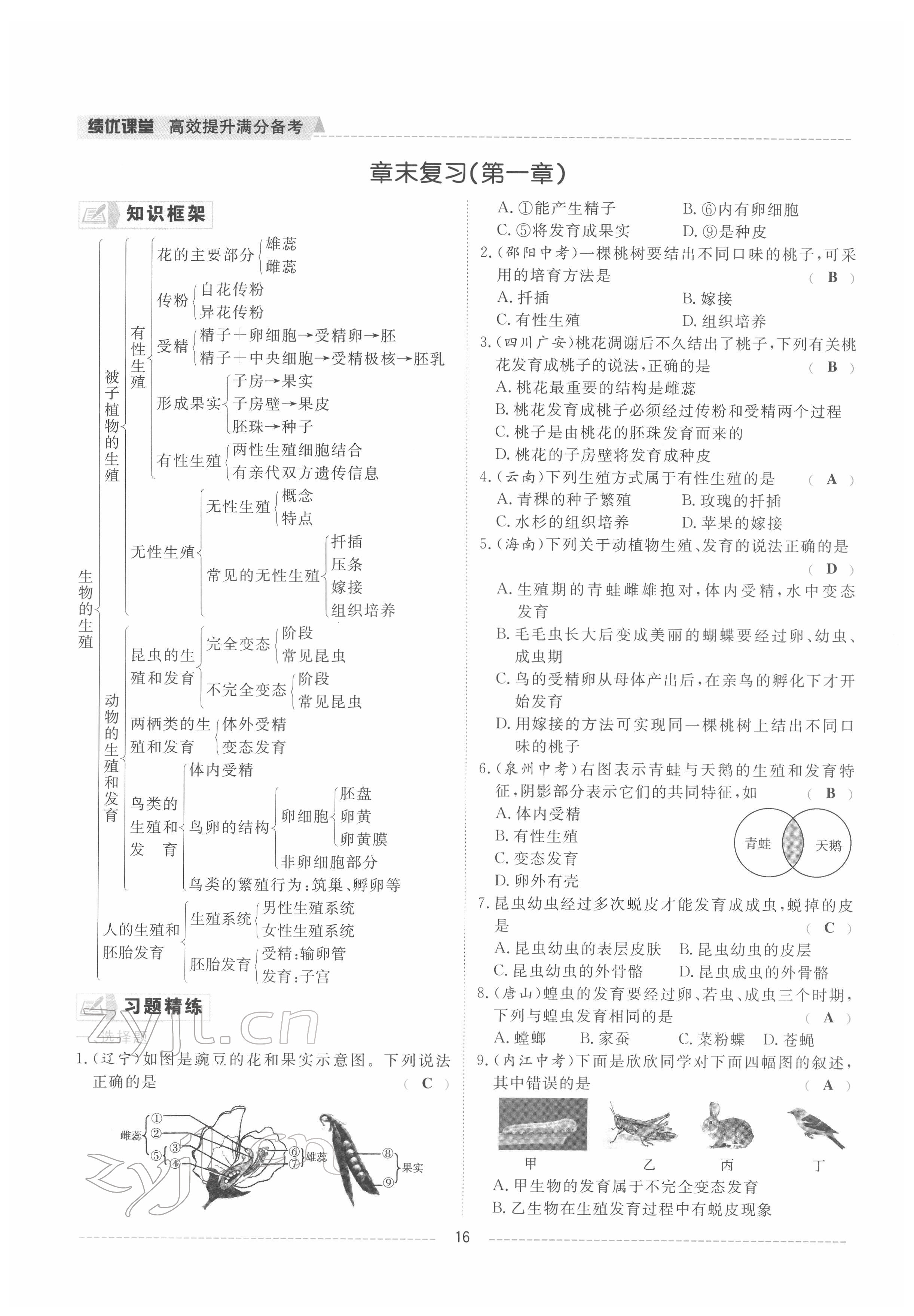 2022年績優(yōu)課堂高效提升滿分備考八年級生物下冊冀少版 參考答案第19頁