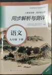 2022年人教金学典同步练习册同步解析与测评九年级语文下册人教版精编版