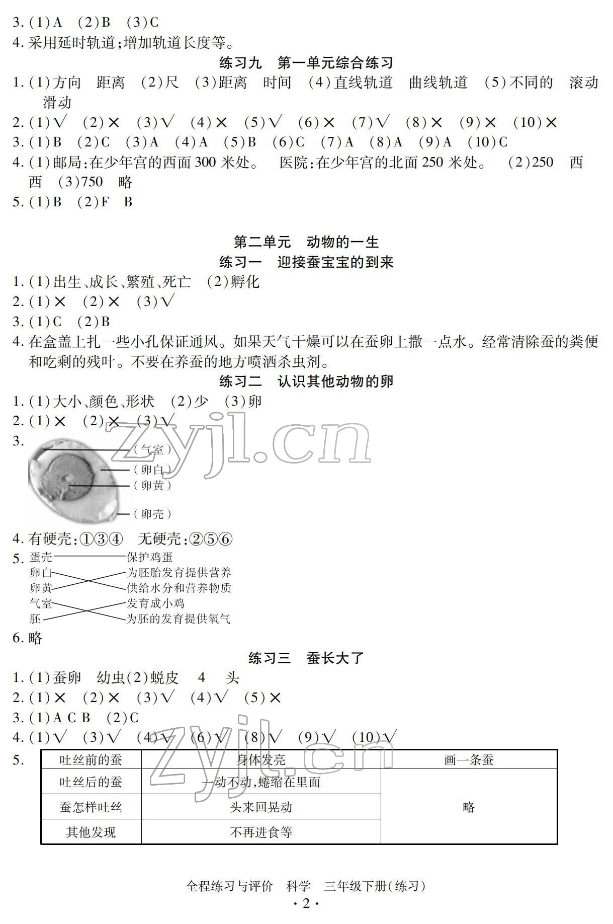 2022年全程练习与评价三年级科学下册教科版 参考答案第2页