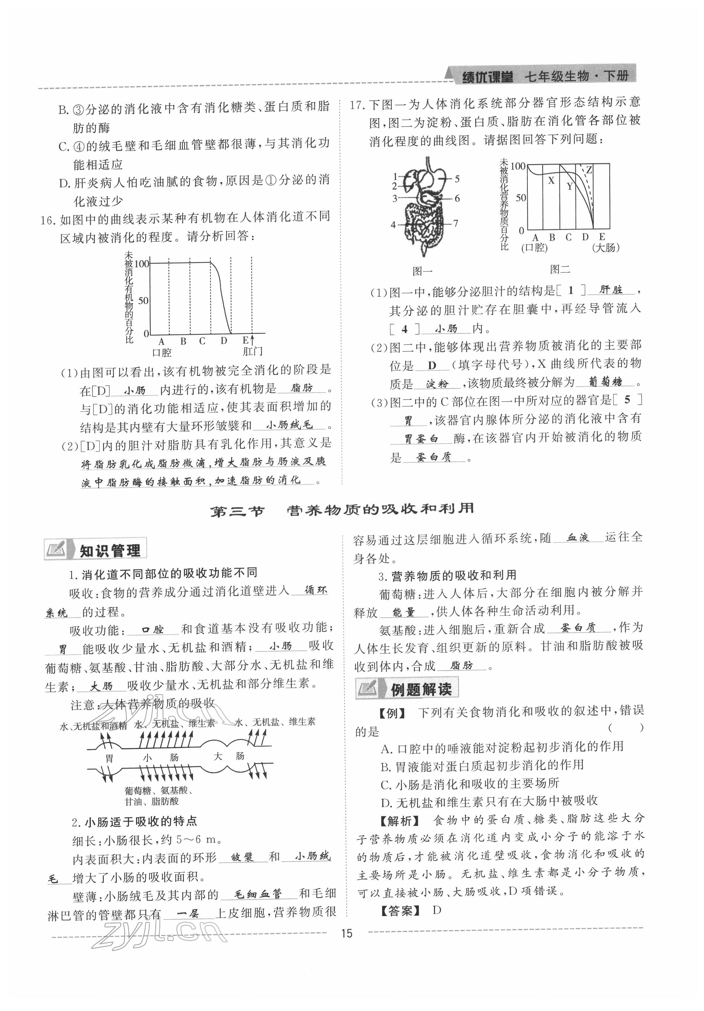 2022年績優(yōu)課堂高效提升滿分備考七年級生物下冊冀少版 參考答案第15頁