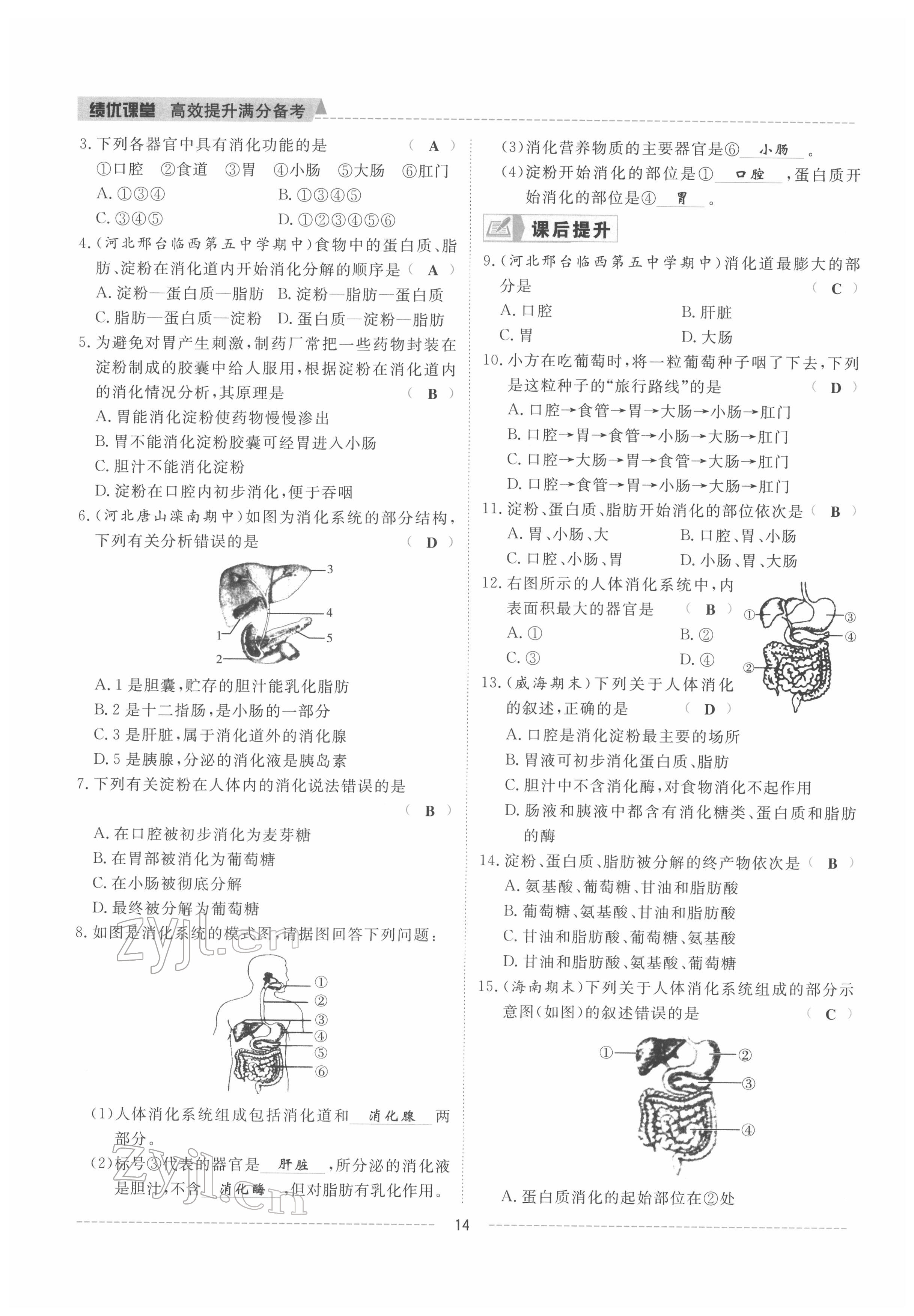 2022年績(jī)優(yōu)課堂高效提升滿分備考七年級(jí)生物下冊(cè)冀少版 參考答案第14頁(yè)