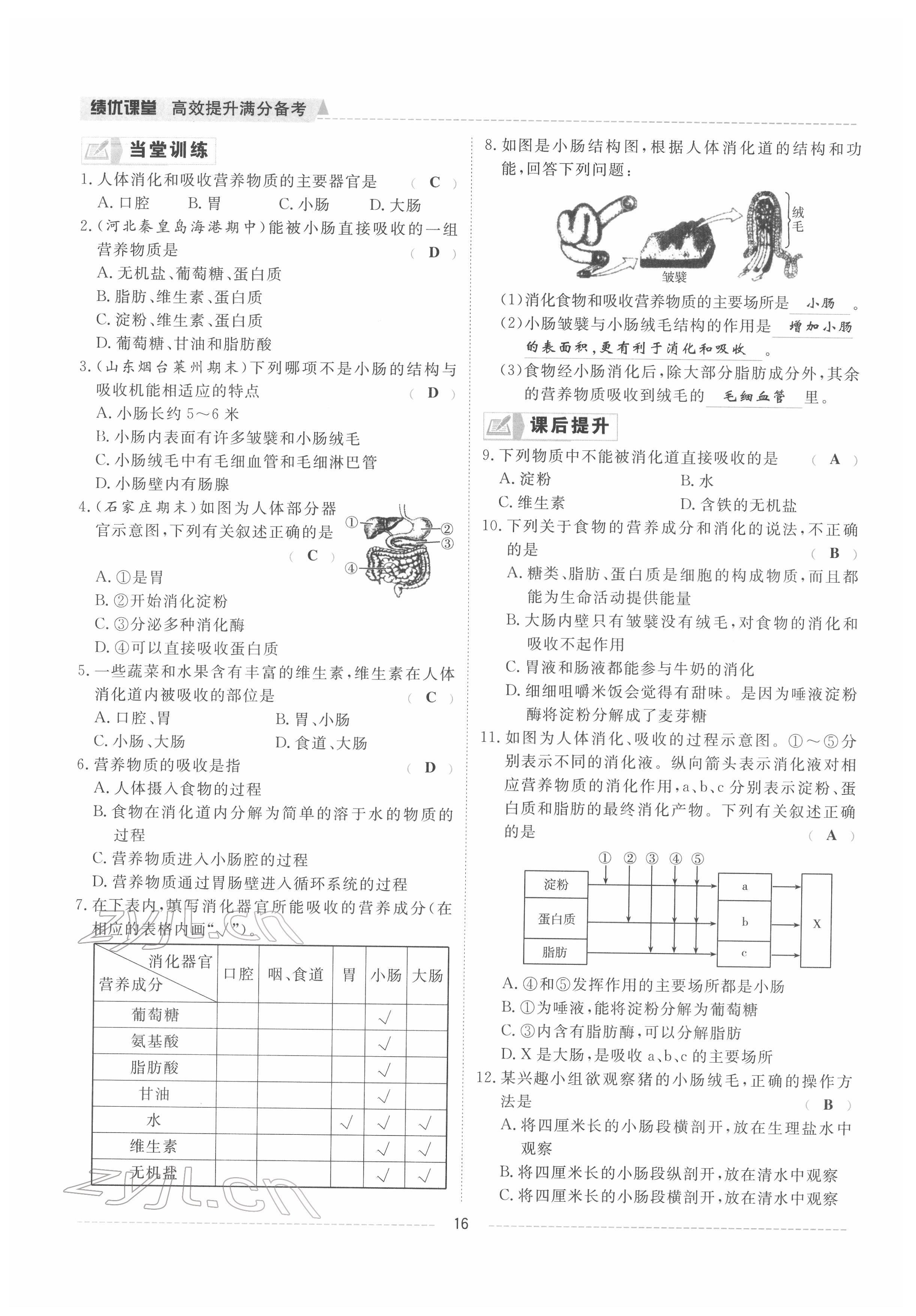 2022年績(jī)優(yōu)課堂高效提升滿分備考七年級(jí)生物下冊(cè)冀少版 參考答案第16頁