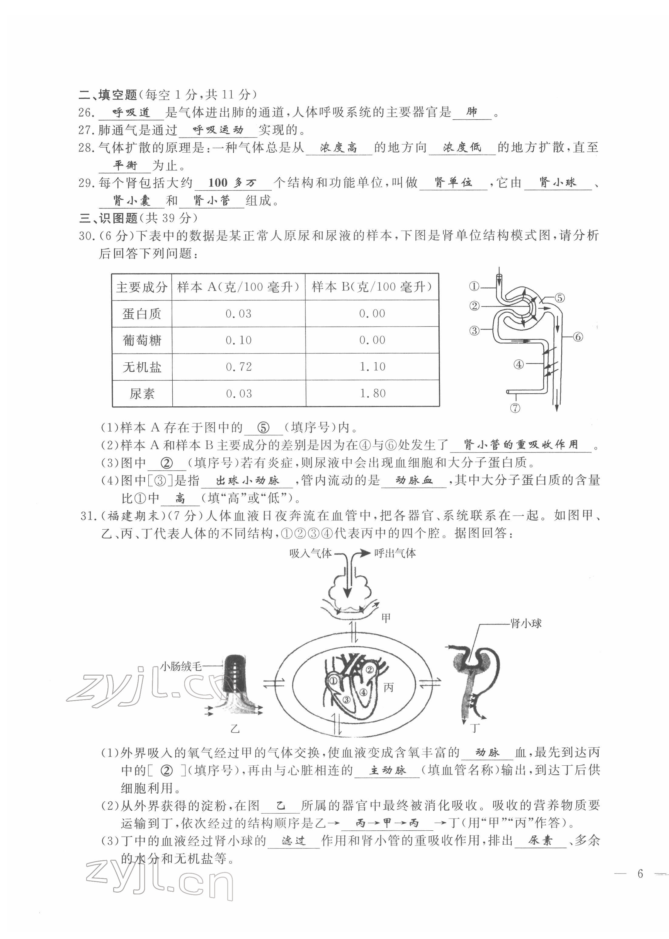 2022年績優(yōu)課堂高效提升滿分備考七年級生物下冊冀少版 第11頁