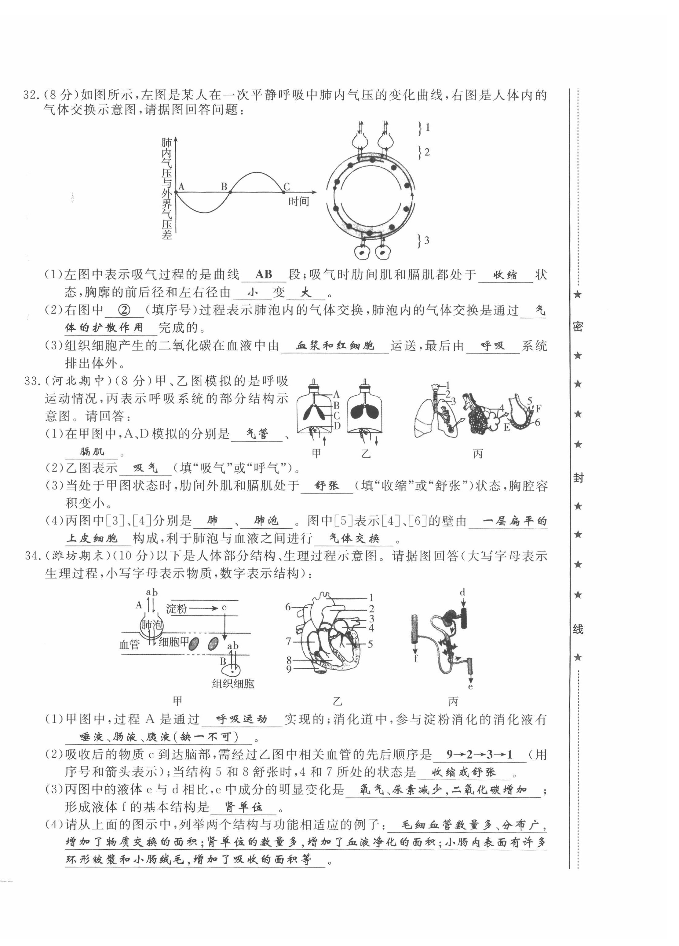 2022年績優(yōu)課堂高效提升滿分備考七年級生物下冊冀少版 第12頁