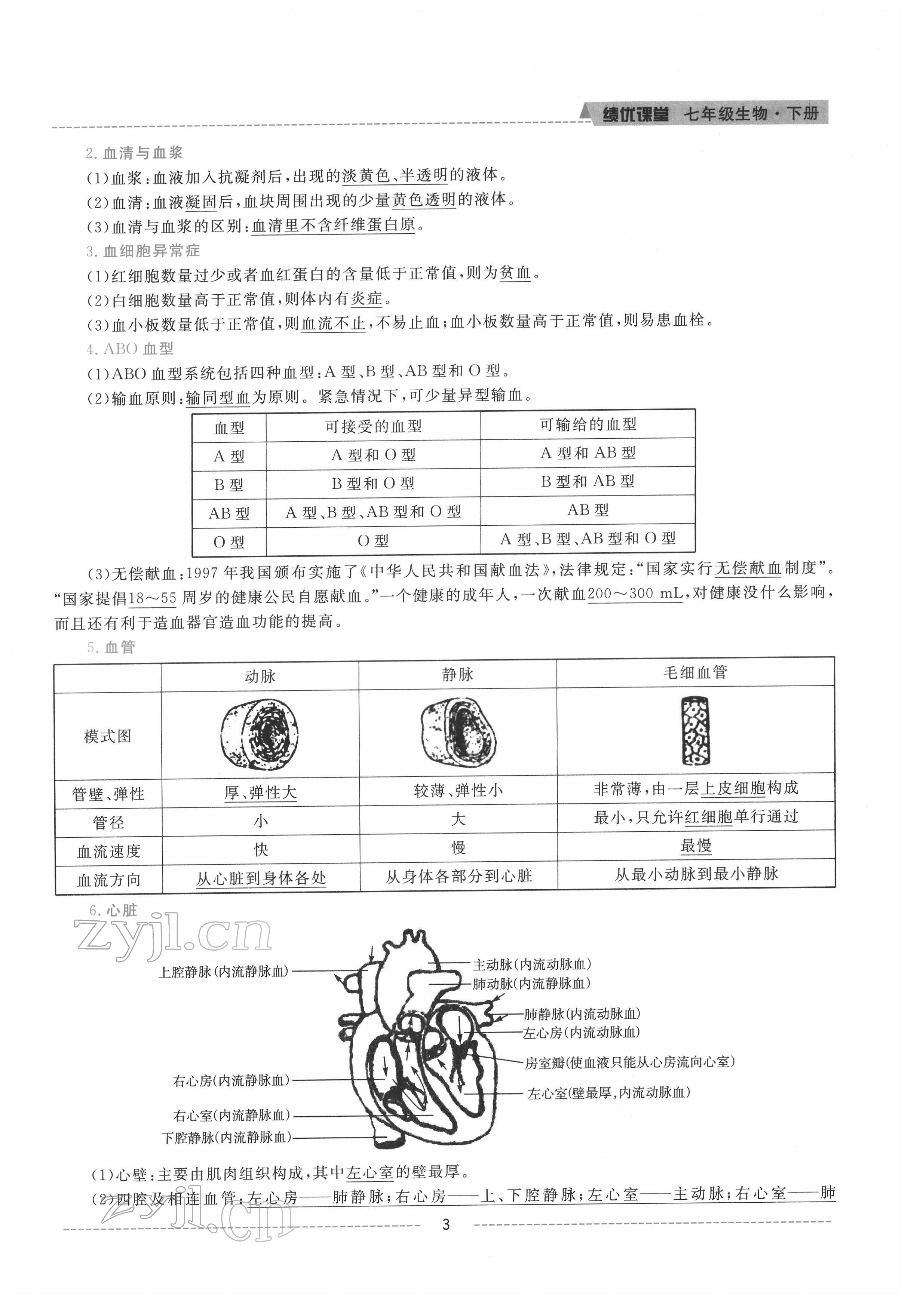 2022年績(jī)優(yōu)課堂高效提升滿分備考七年級(jí)生物下冊(cè)冀少版 參考答案第3頁(yè)