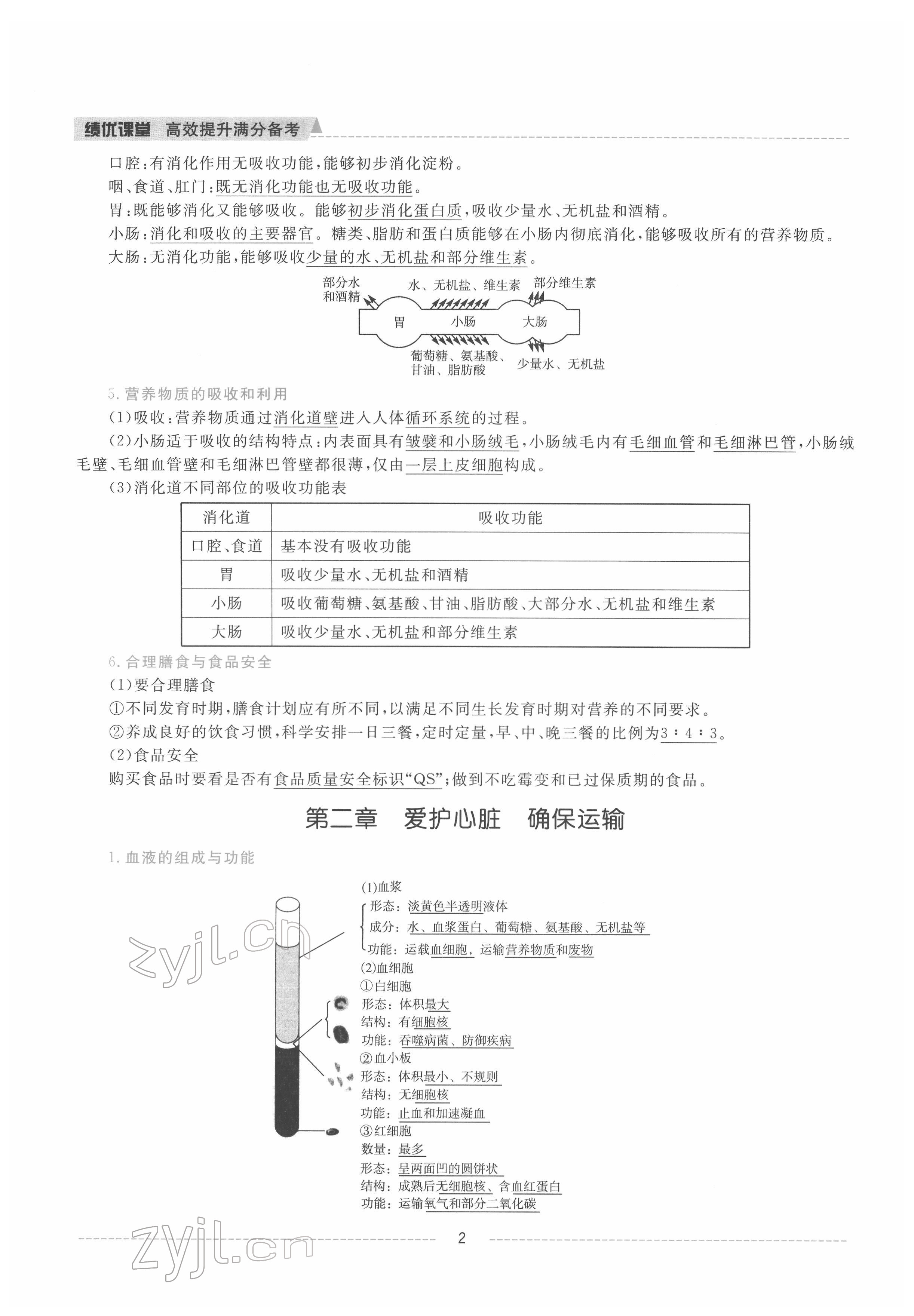 2022年績優(yōu)課堂高效提升滿分備考七年級生物下冊冀少版 參考答案第2頁