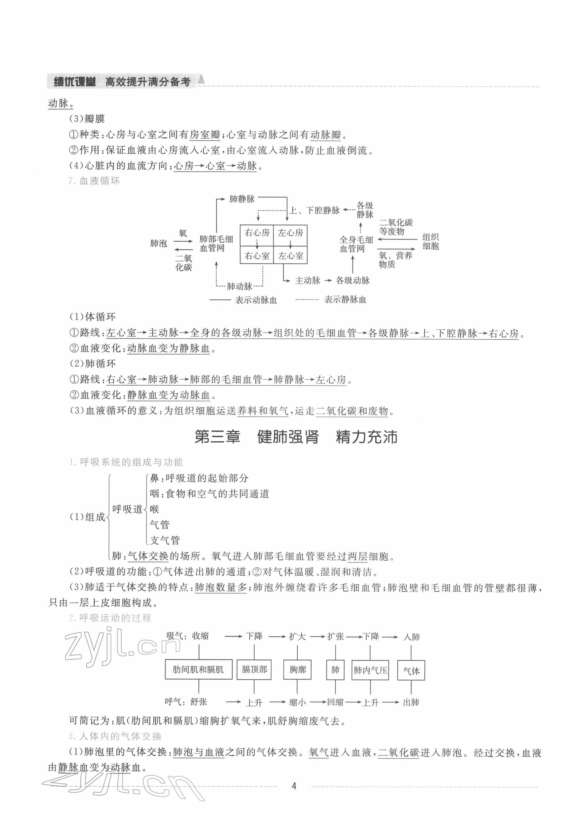 2022年績(jī)優(yōu)課堂高效提升滿分備考七年級(jí)生物下冊(cè)冀少版 參考答案第4頁(yè)