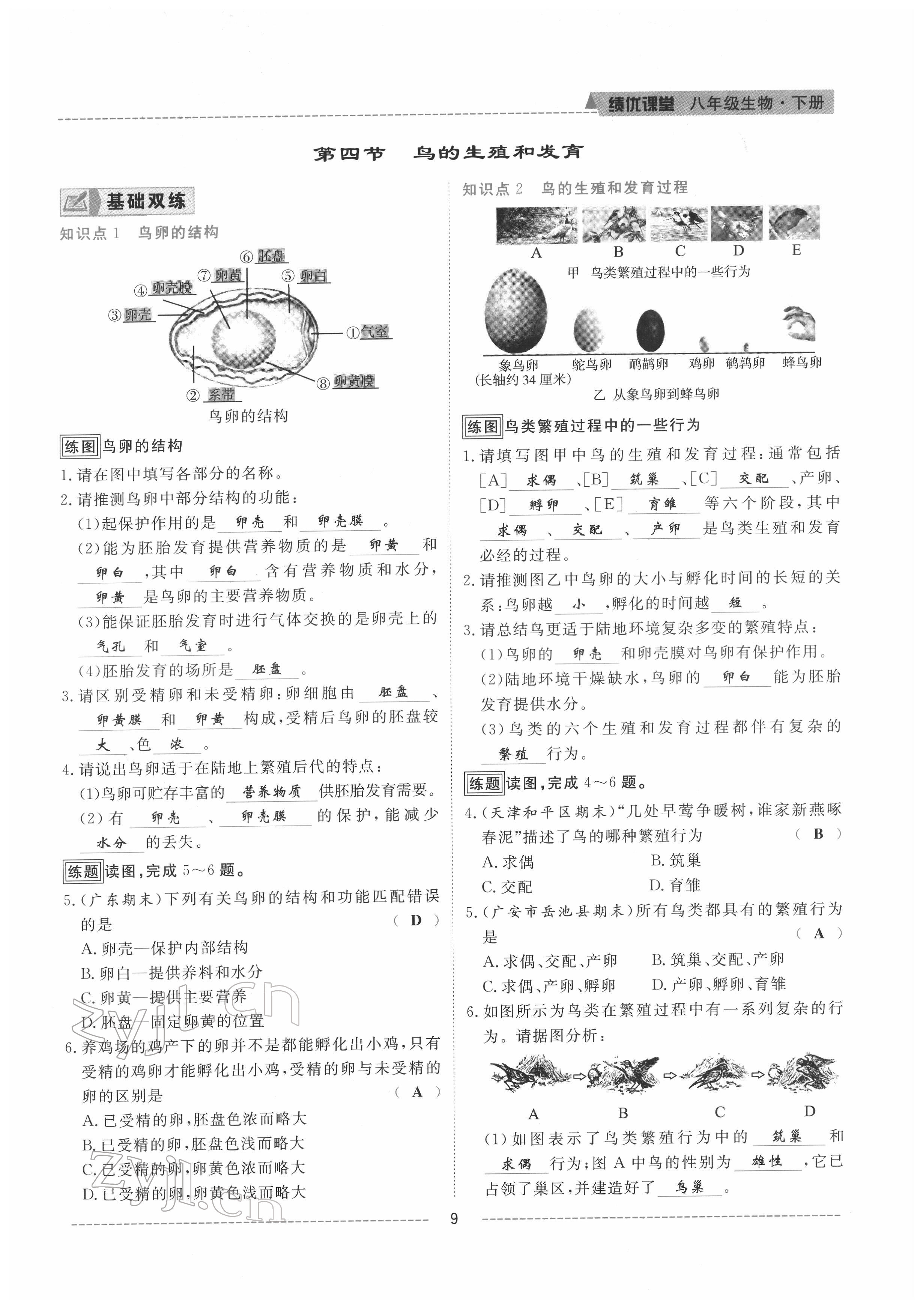 2022年績(jī)優(yōu)課堂高效提升滿分備考八年級(jí)生物下冊(cè)人教版 參考答案第9頁(yè)