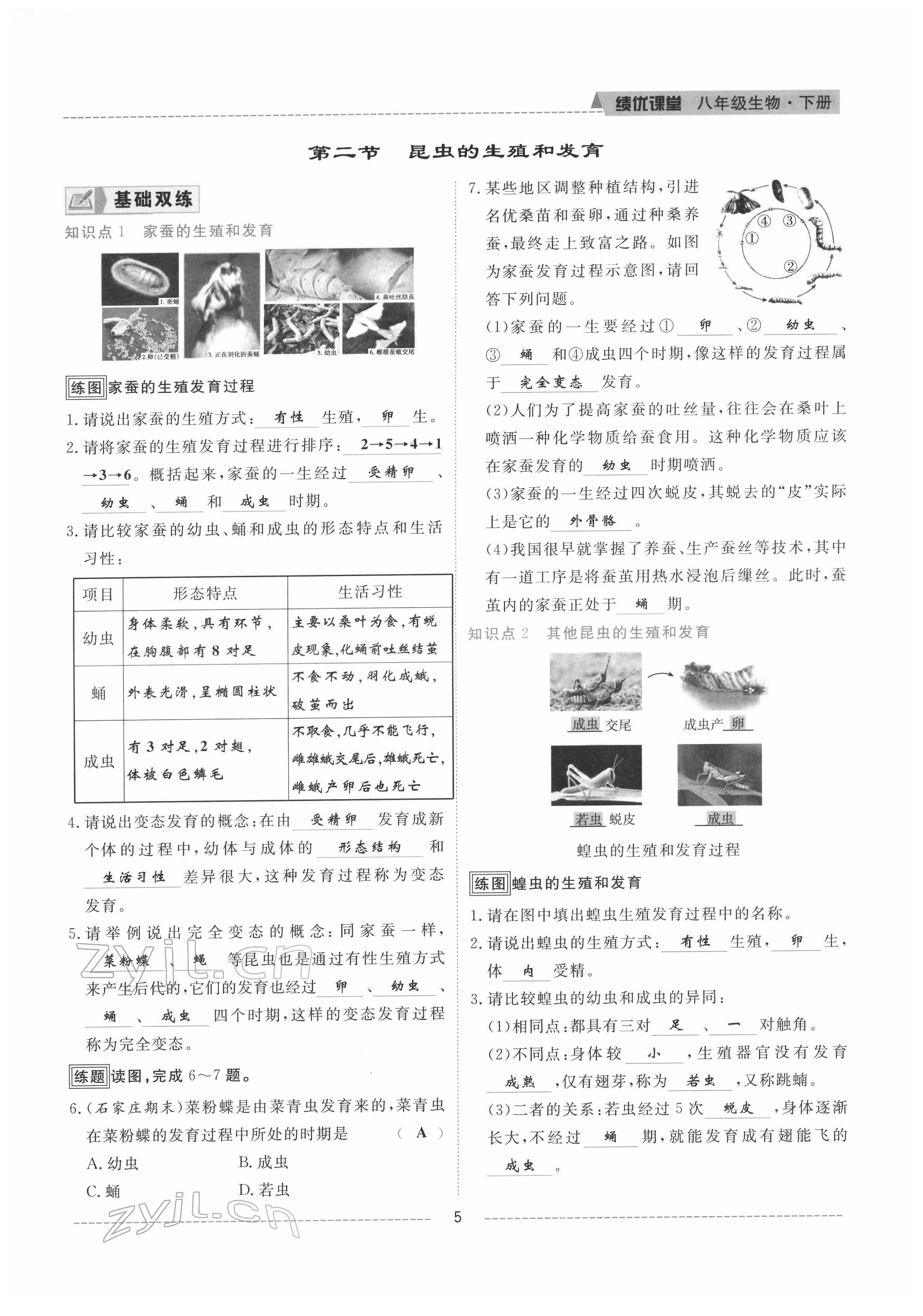 2022年績優(yōu)課堂高效提升滿分備考八年級生物下冊人教版 參考答案第5頁