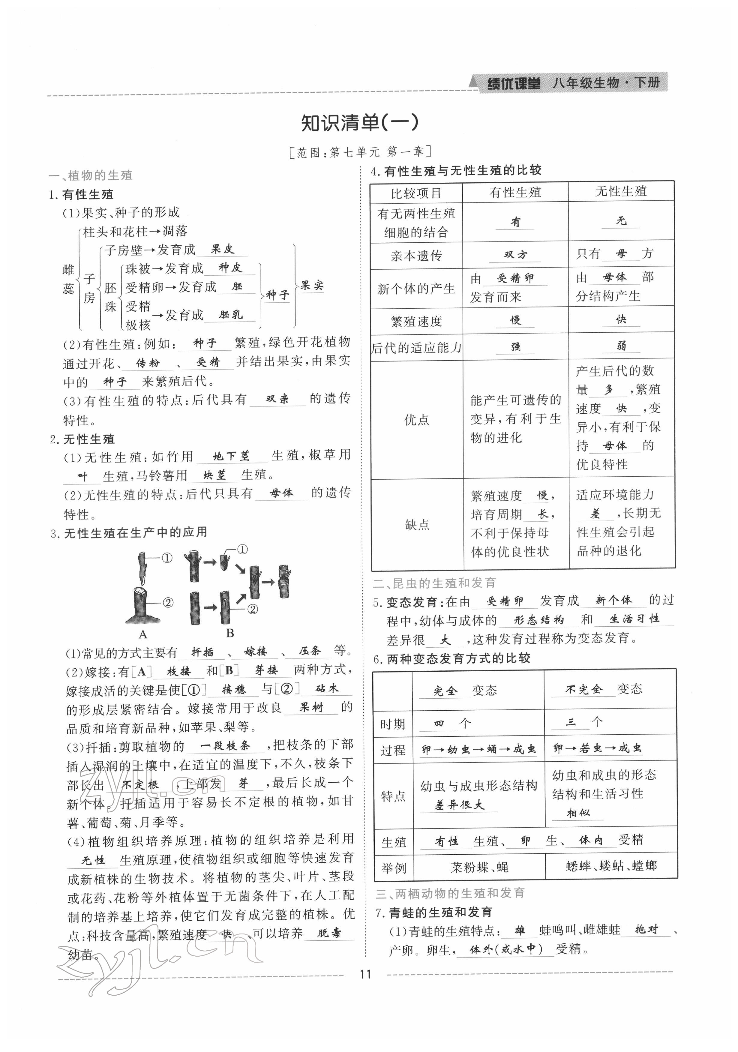 2022年績(jī)優(yōu)課堂高效提升滿分備考八年級(jí)生物下冊(cè)人教版 參考答案第11頁(yè)