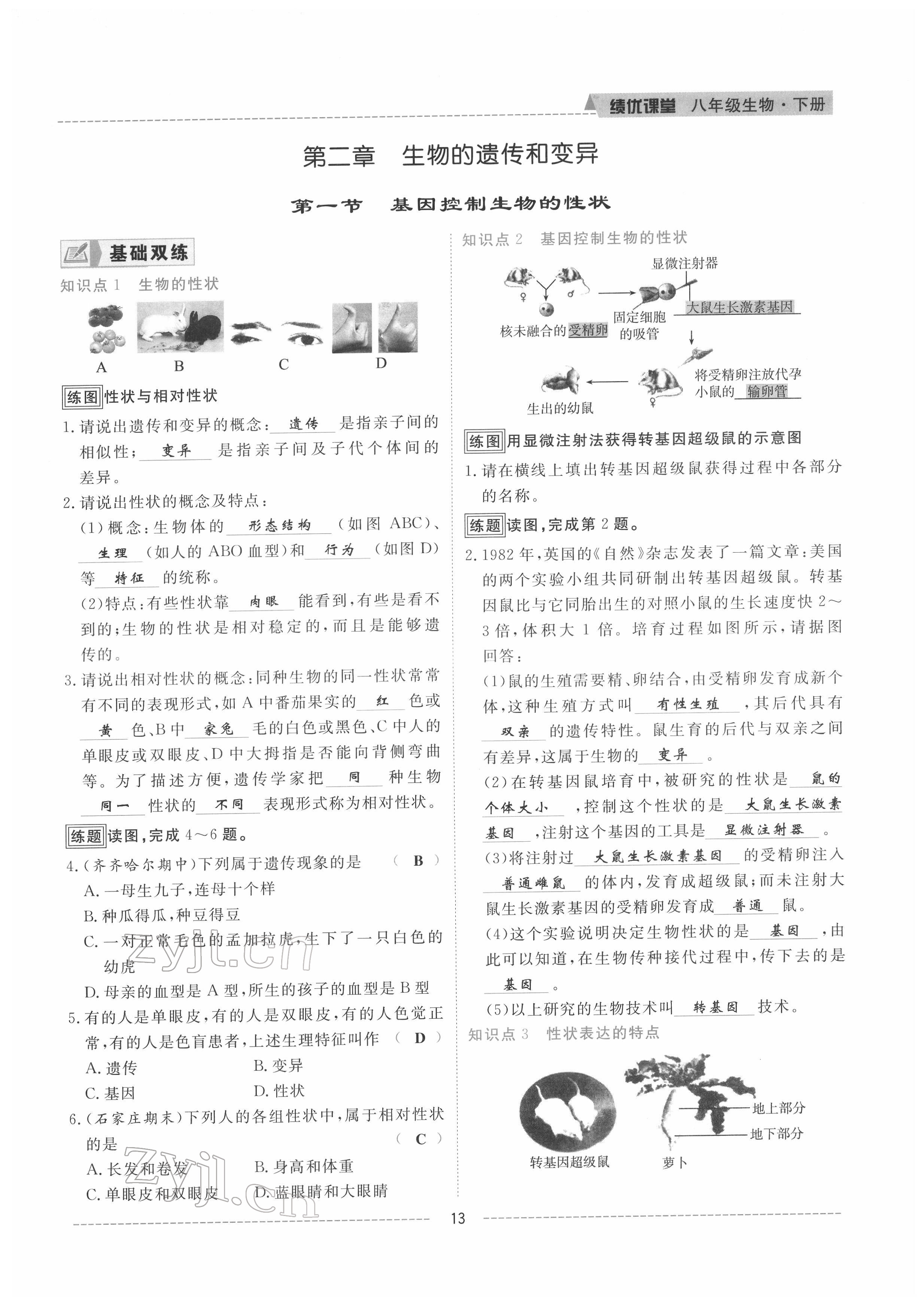 2022年績優(yōu)課堂高效提升滿分備考八年級生物下冊人教版 參考答案第13頁