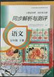 2022年人教金学典同步练习册同步解析与测评五年级语文下册人教版精编版