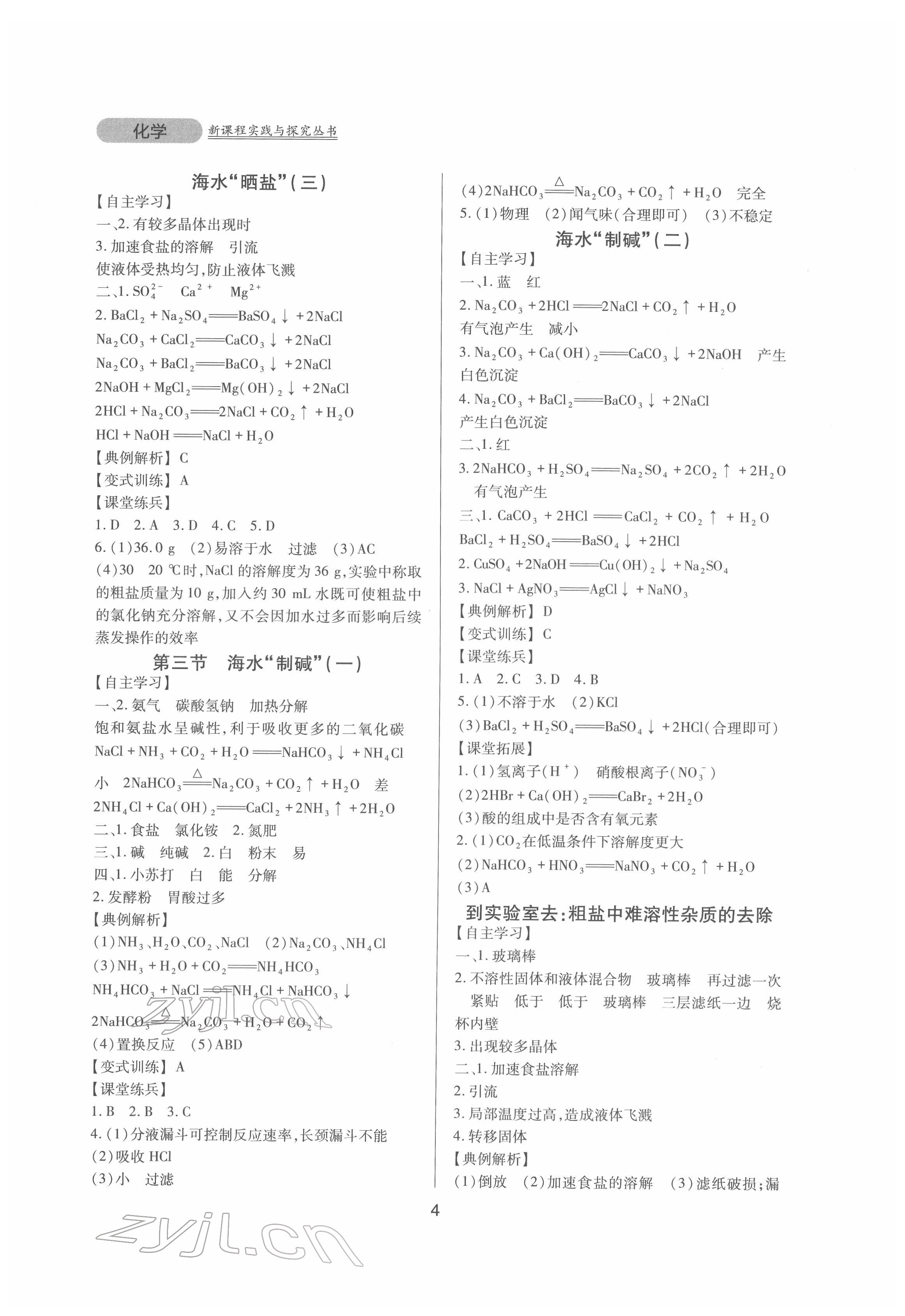 2022年新課程實踐與探究叢書九年級化學(xué)下冊魯教版 第4頁