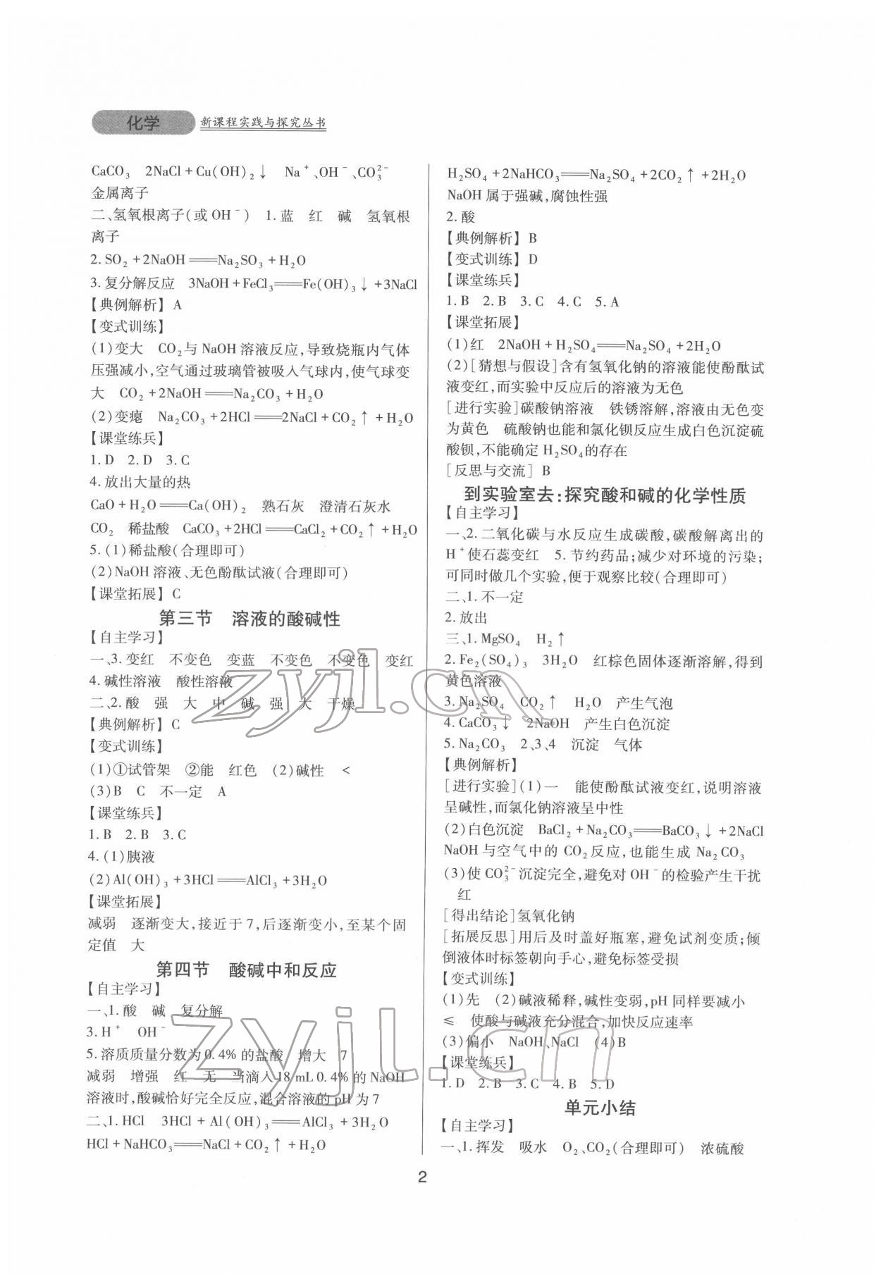 2022年新課程實(shí)踐與探究叢書(shū)九年級(jí)化學(xué)下冊(cè)魯教版 第2頁(yè)