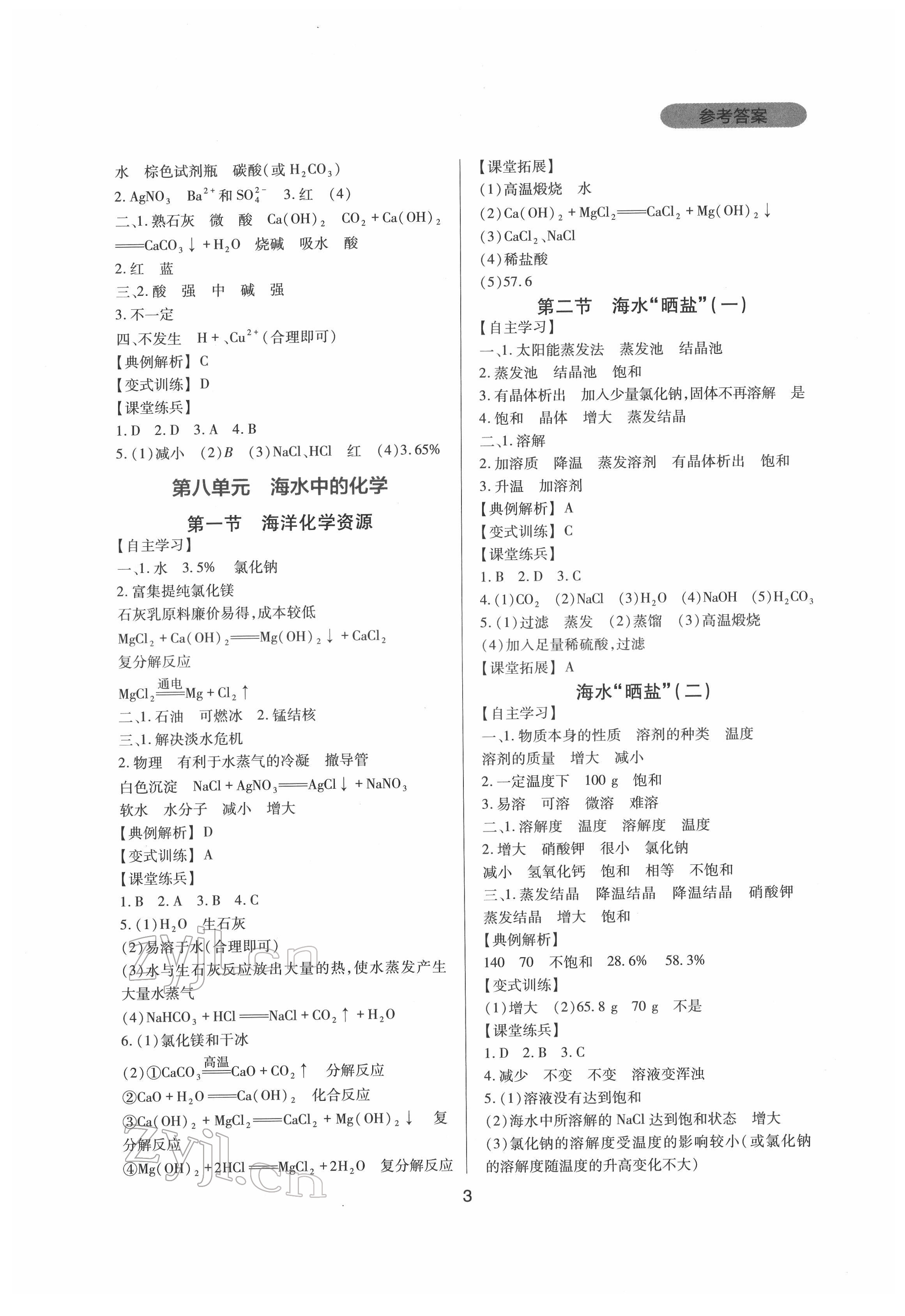 2022年新課程實踐與探究叢書九年級化學(xué)下冊魯教版 第3頁