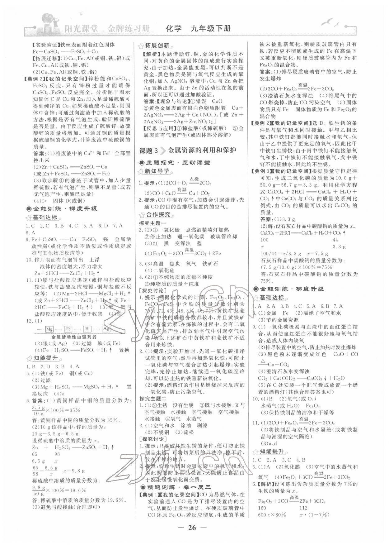 2022年陽光課堂金牌練習(xí)冊九年級化學(xué)下冊人教版 第2頁