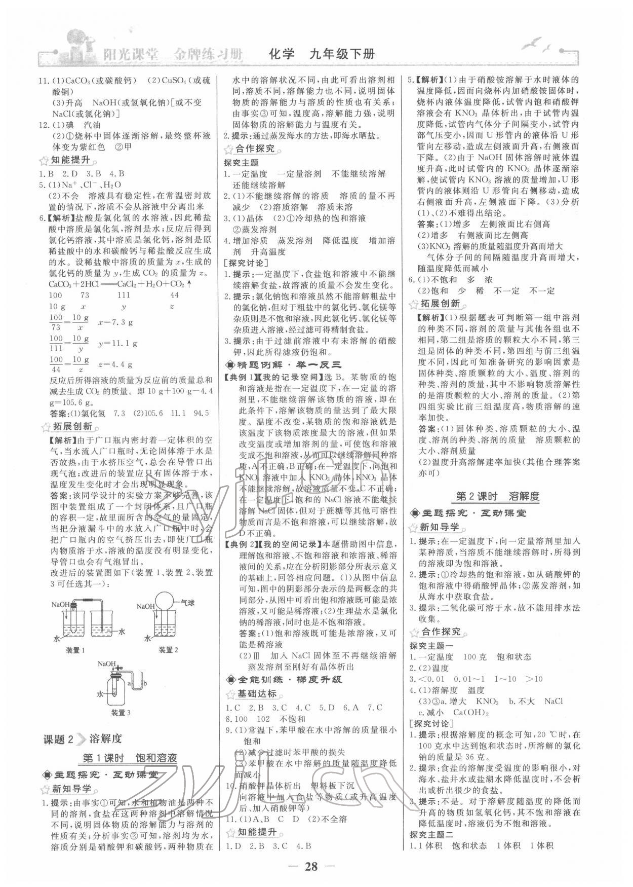 2022年陽光課堂金牌練習(xí)冊九年級化學(xué)下冊人教版 第4頁