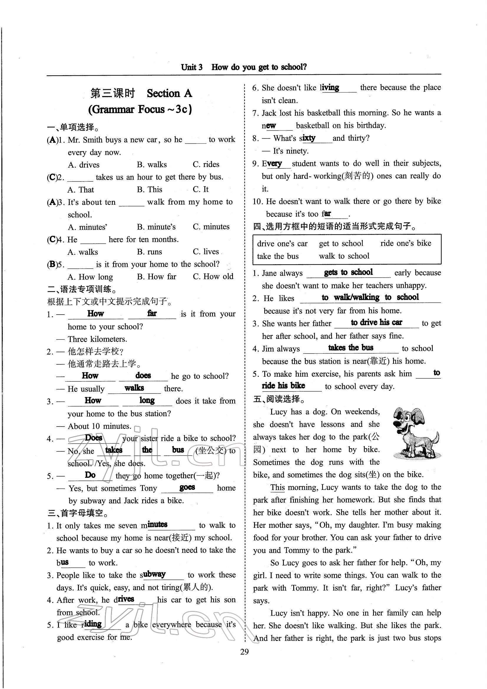 2022年指南針高分必備七年級(jí)英語(yǔ)下冊(cè)人教版 參考答案第61頁(yè)