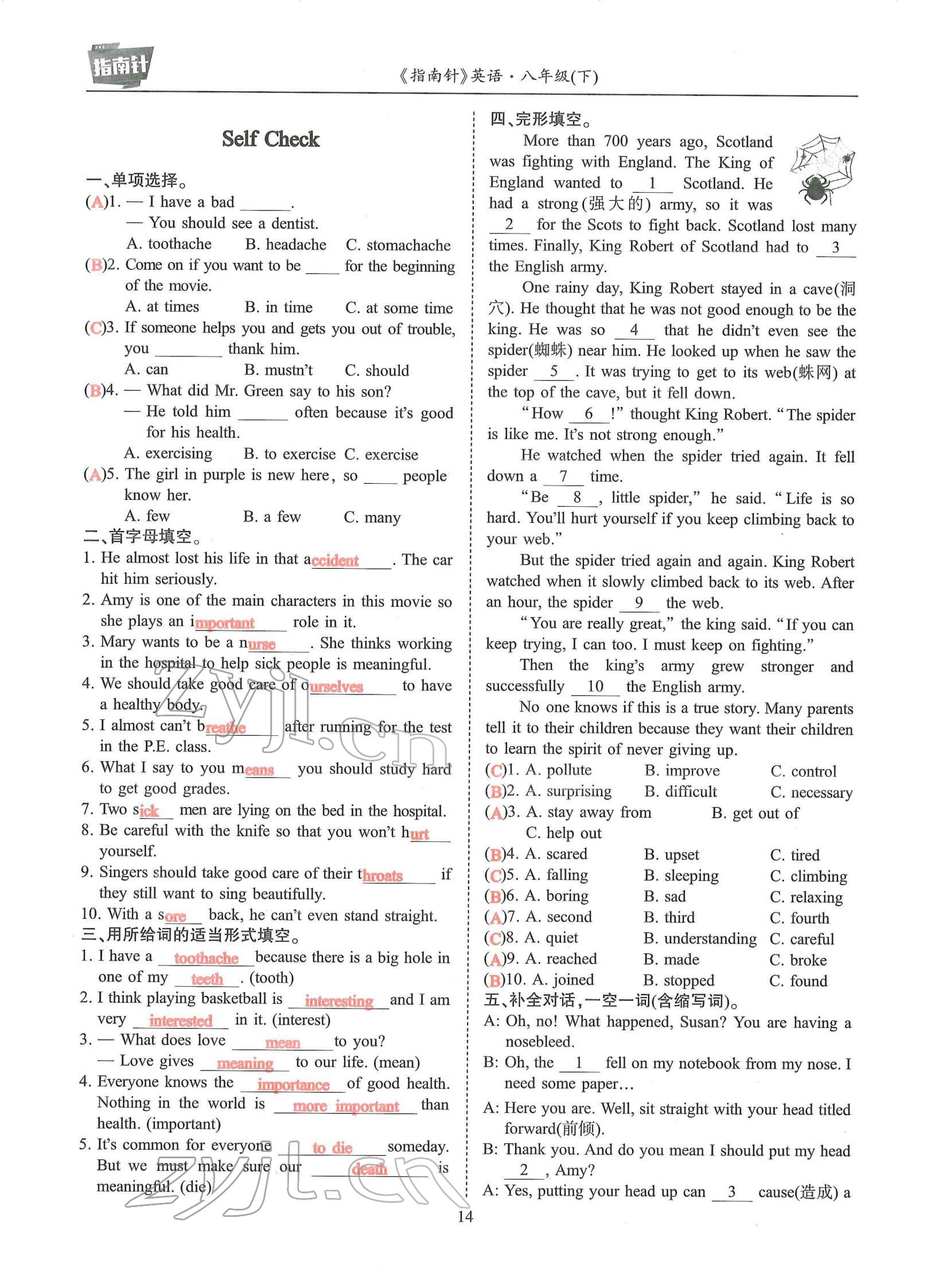 2022年指南針高分必備八年級(jí)英語(yǔ)下冊(cè)人教版 參考答案第24頁(yè)