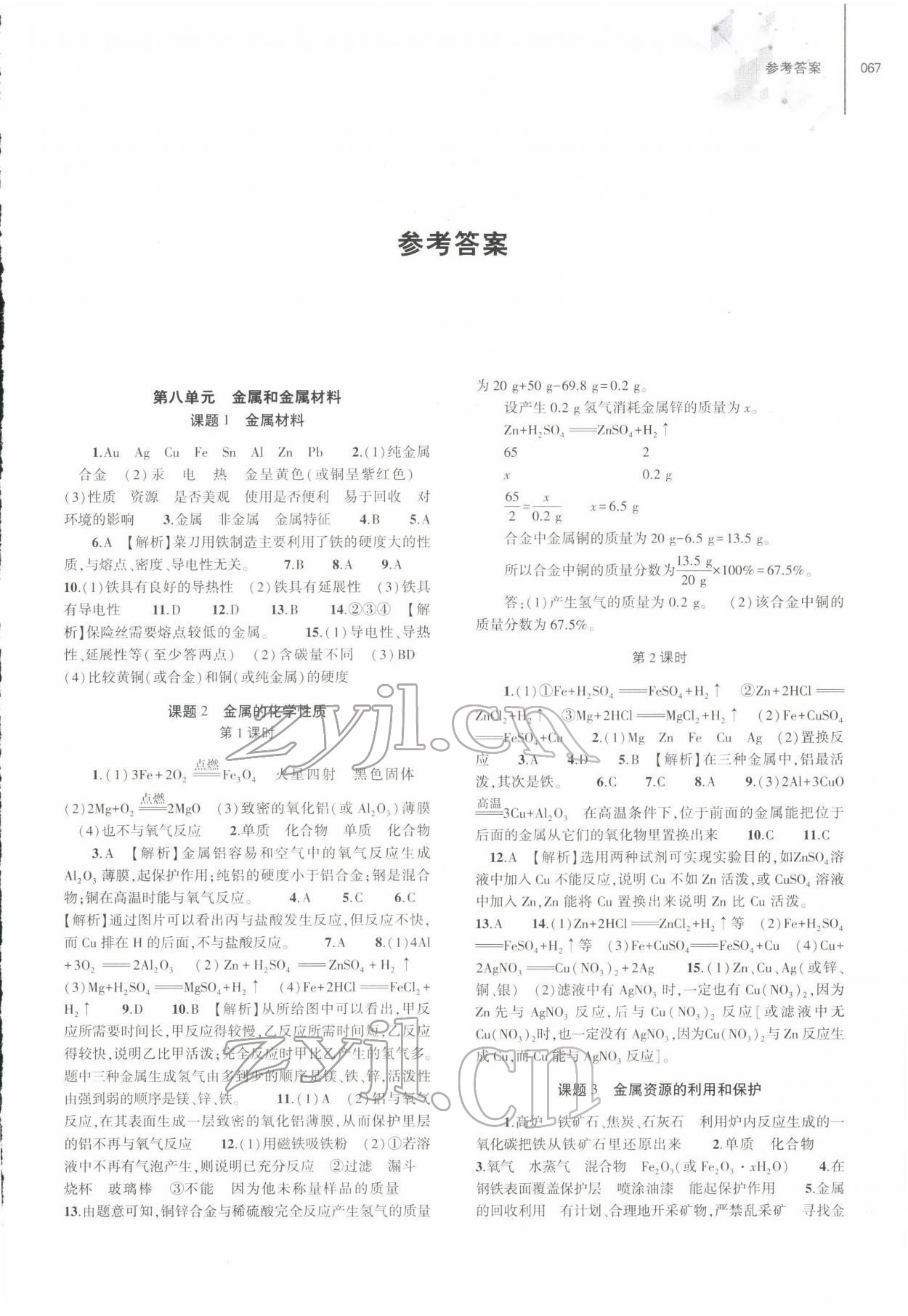 2022年同步練習(xí)冊大象出版社九年級化學(xué)下冊人教版 第1頁