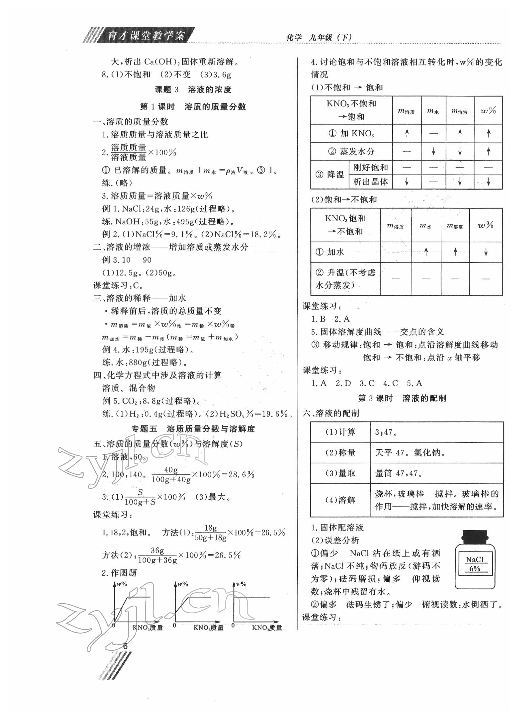 2022年育才课堂教学案九年级化学下册 第6页