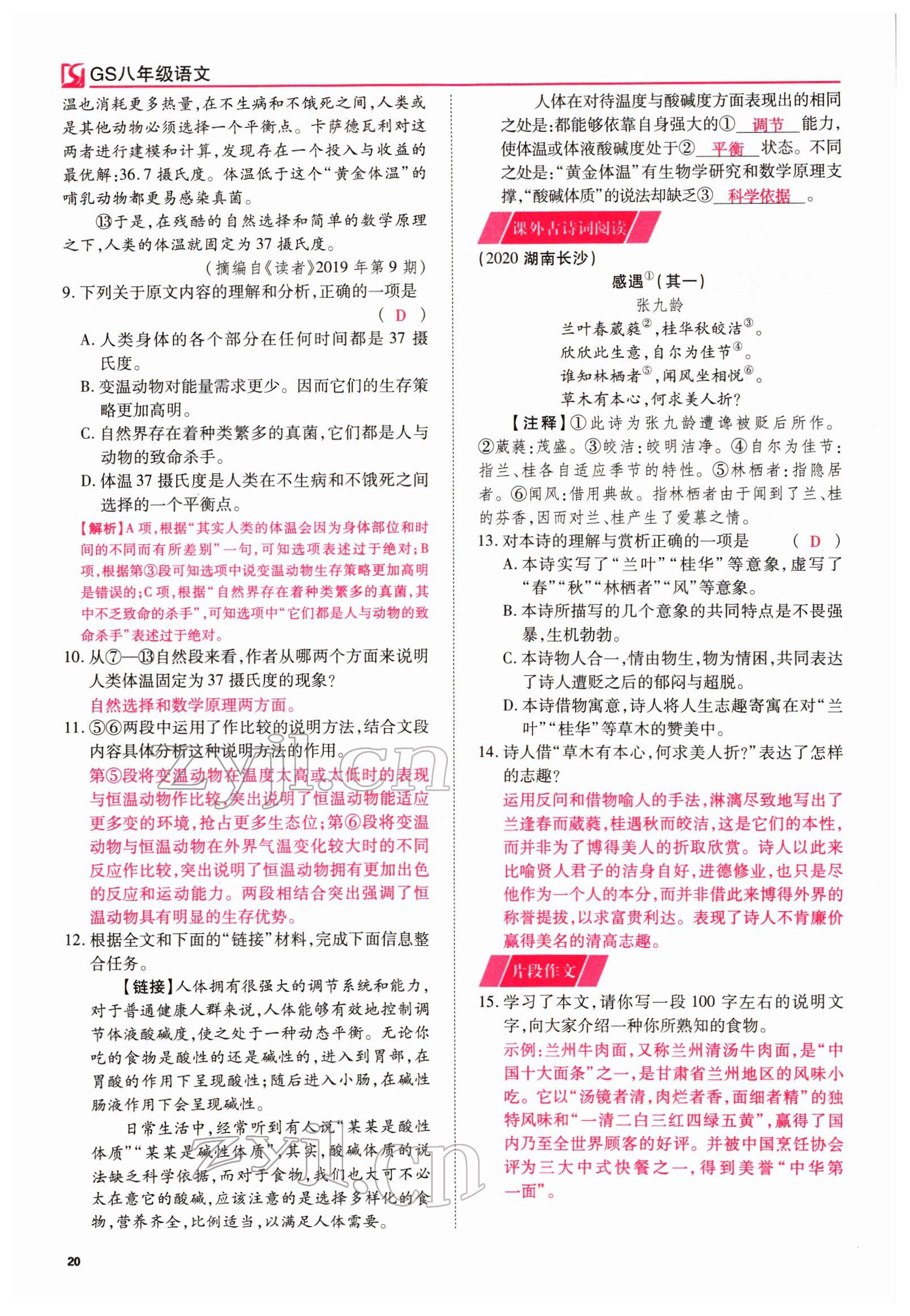 2022年我的作業(yè)八年級語文下冊人教版甘肅專版 參考答案第20頁