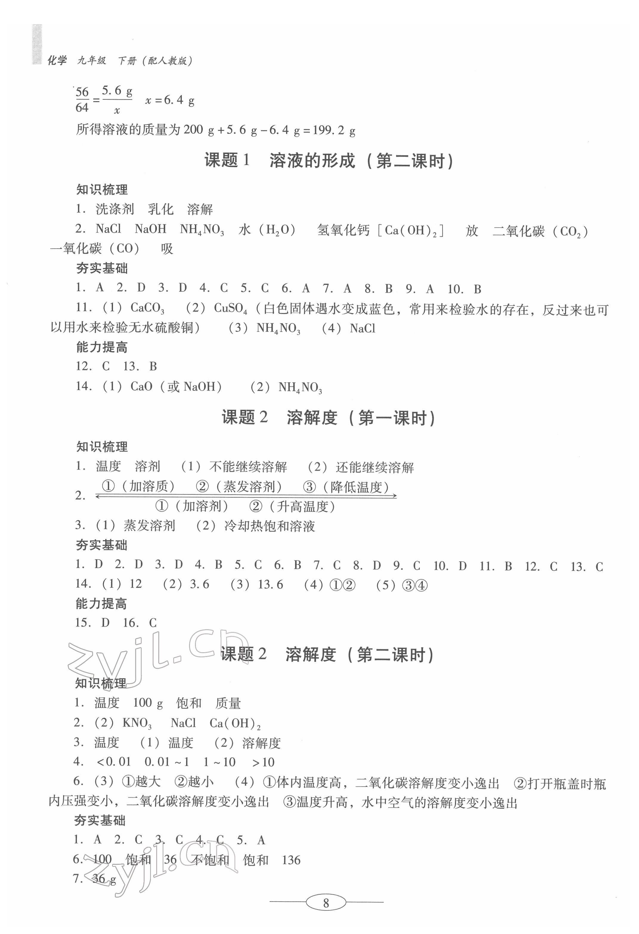 2022年南方新課堂金牌學(xué)案九年級(jí)化學(xué)下冊(cè)人教版珠海專版 第8頁