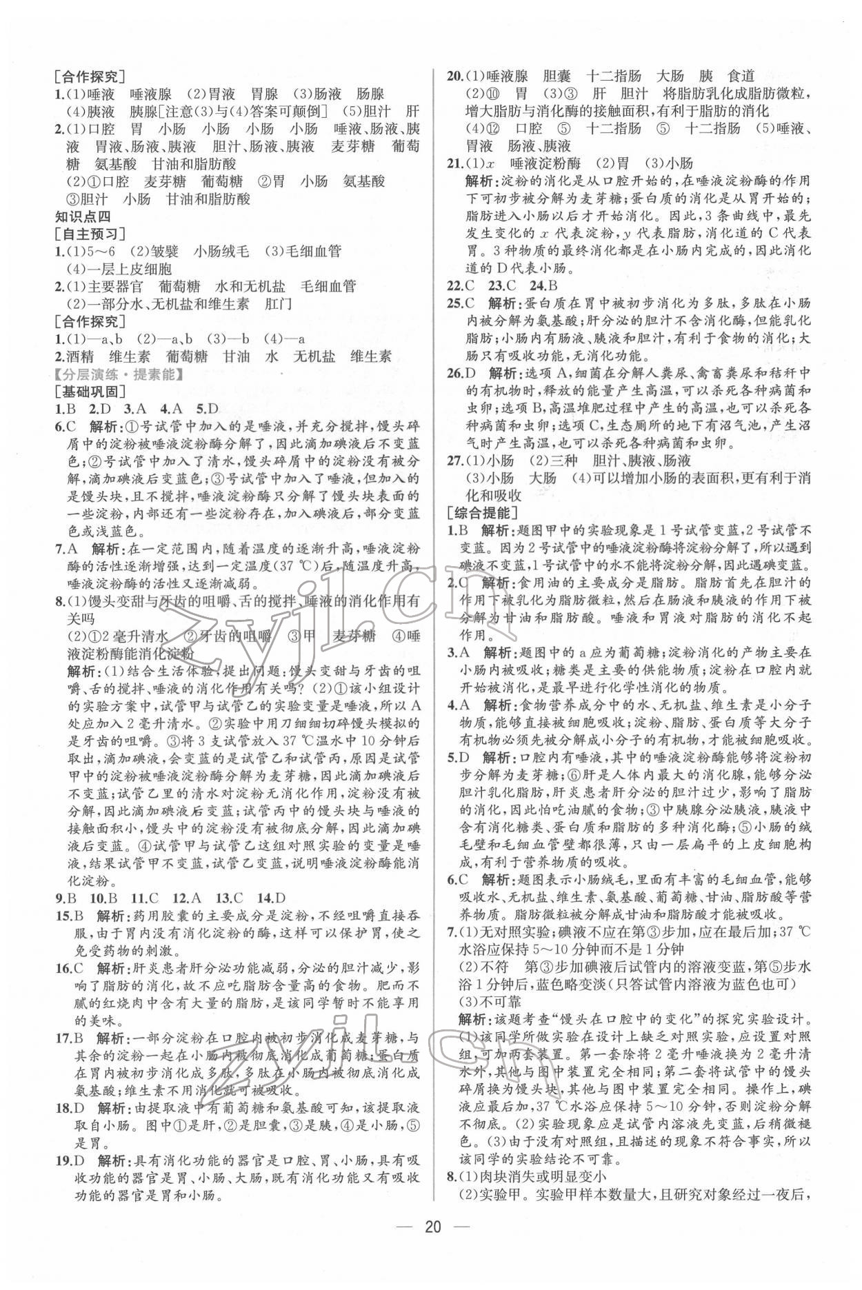 2022年同步導(dǎo)學(xué)案課時練七年級生物下冊人教版 第4頁