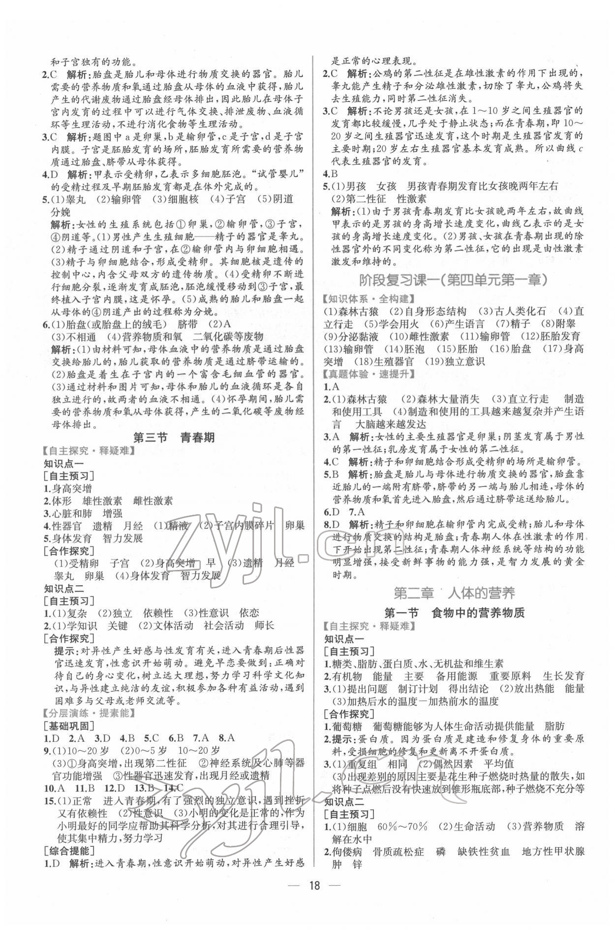 2022年同步導學案課時練七年級生物下冊人教版 第2頁