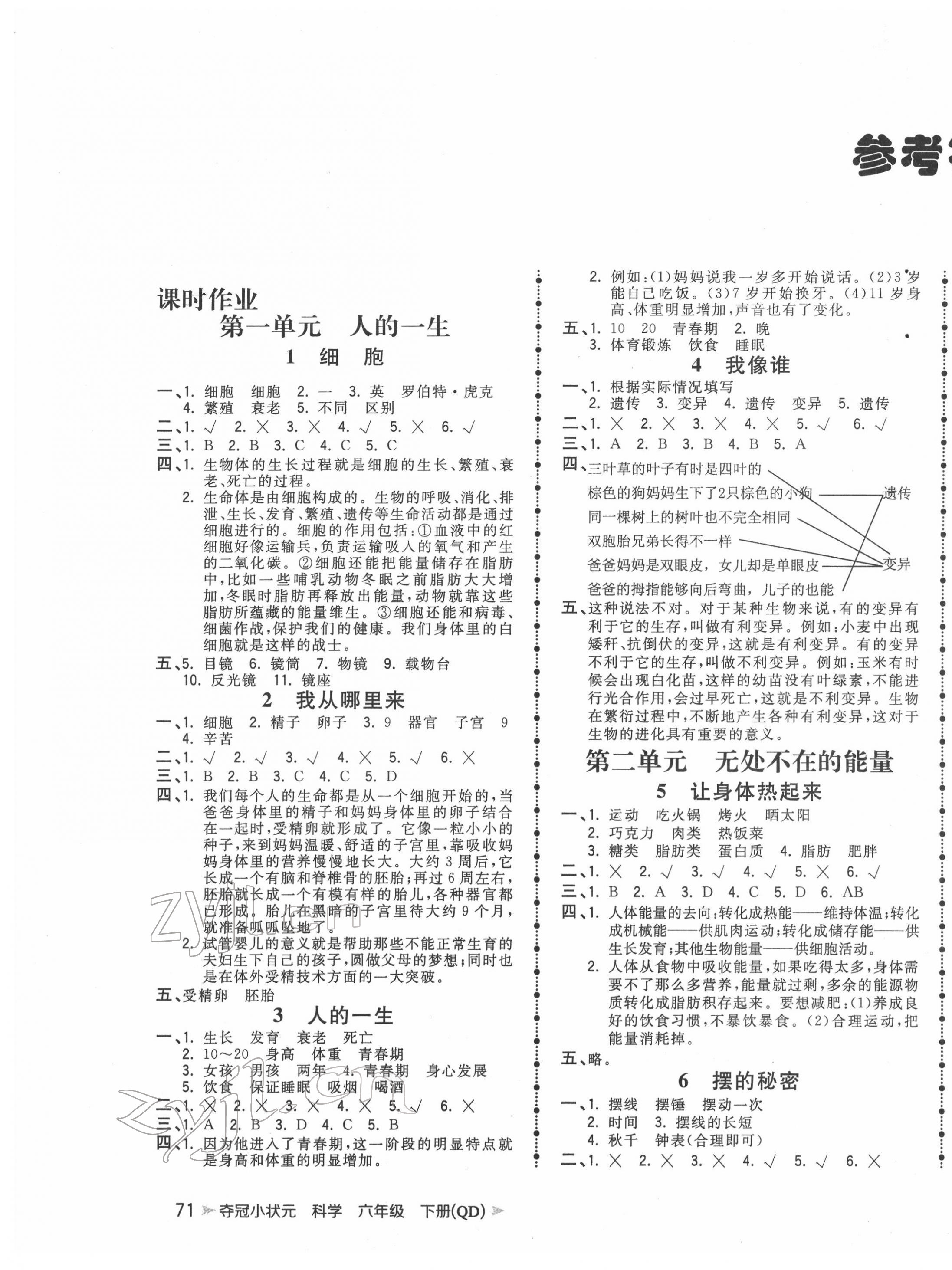 2022年奪冠小狀元課時作業(yè)本六年級科學下冊青島版 第1頁