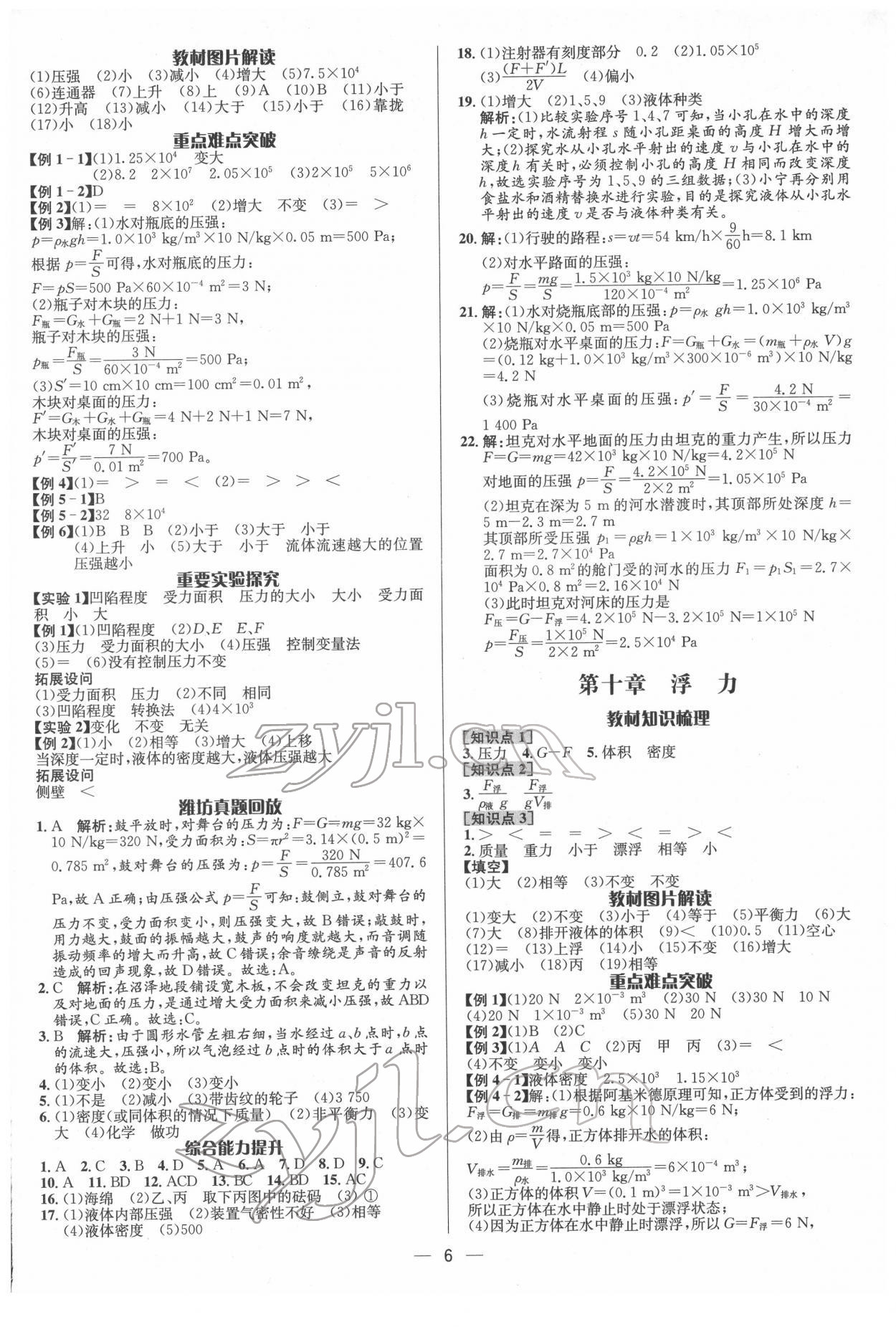 2022年中考對(duì)策物理濰坊專版 參考答案第6頁(yè)