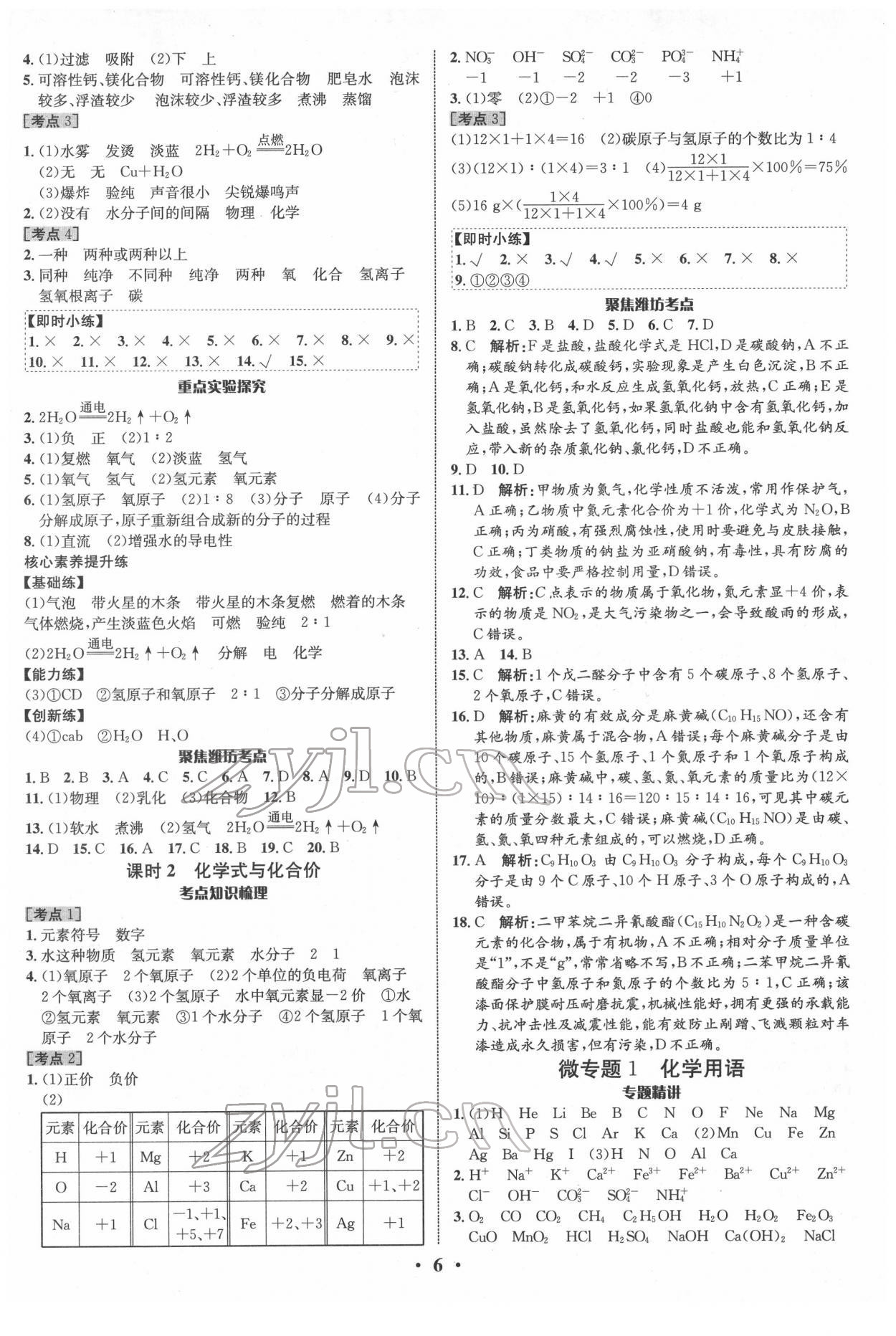 2022年中考对策化学潍坊专版 参考答案第6页