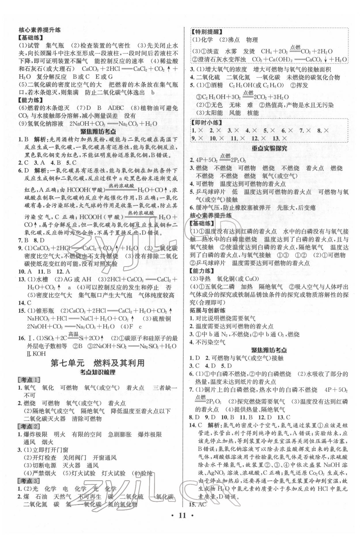 2022年中考对策化学潍坊专版&nbsp;参考答案第11页
