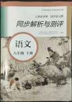 2022年人教金学典同步解析与测评八年级语文下册人教版