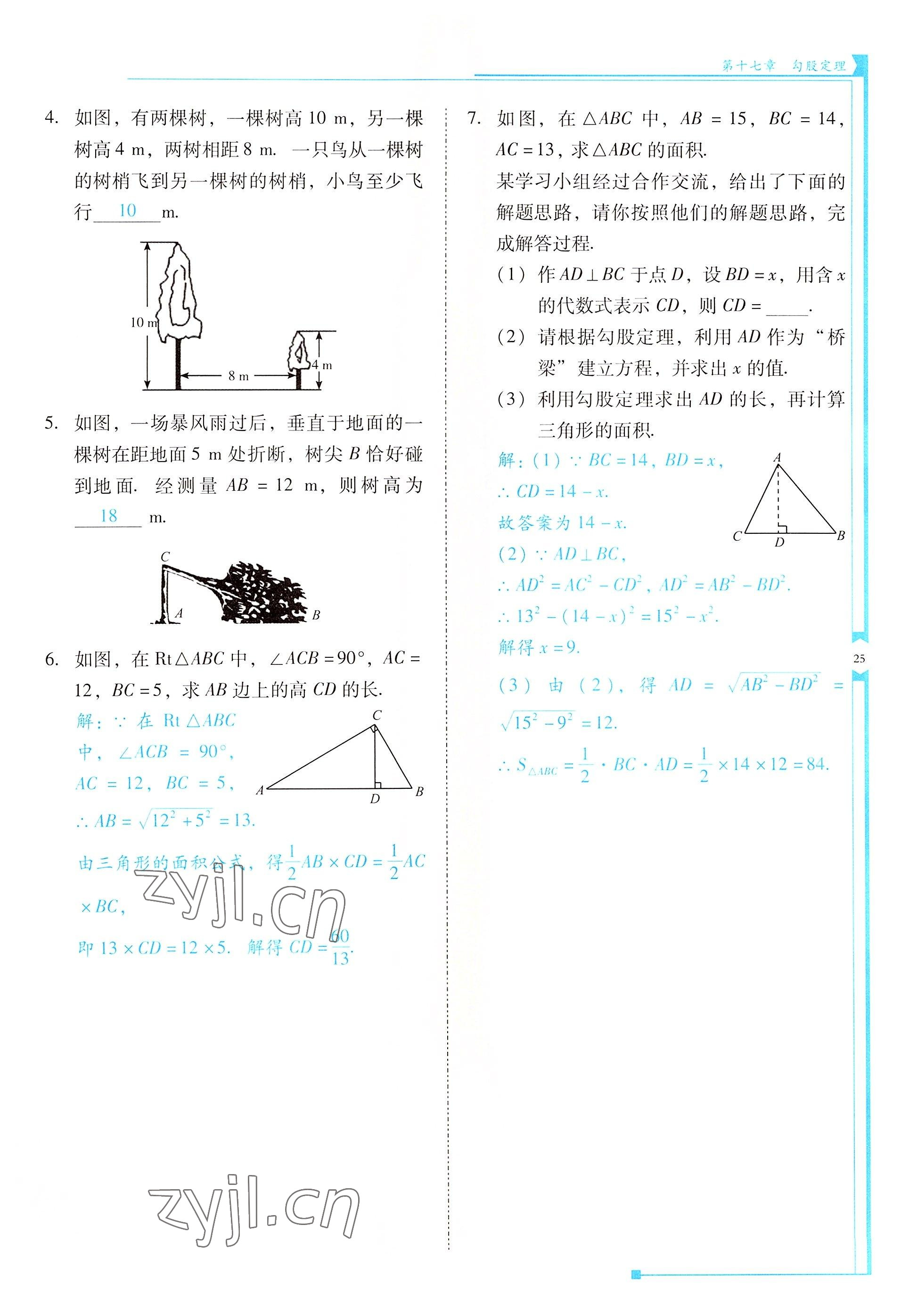 2022年云南省标准教辅优佳学案八年级数学下册人教版 参考答案第25页