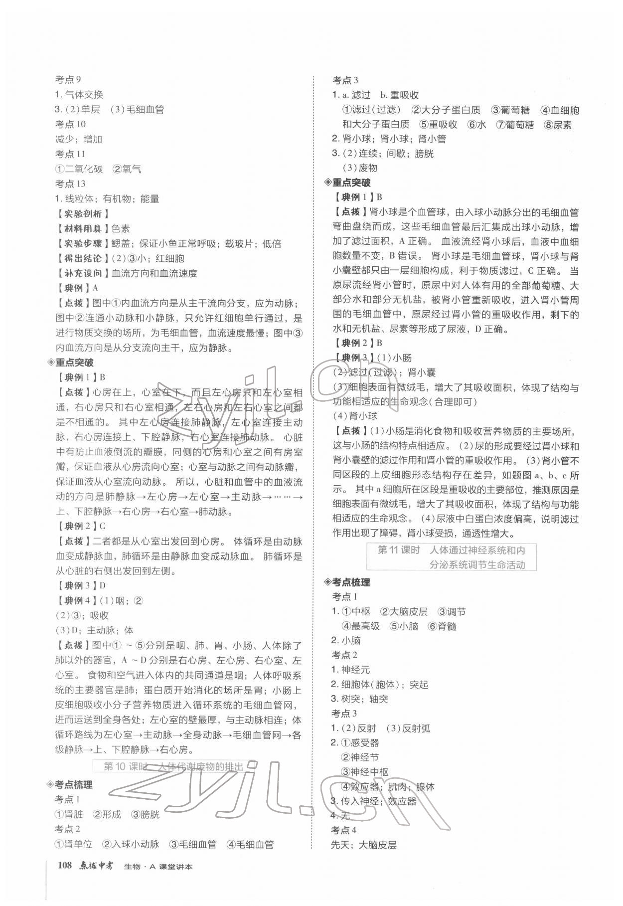 2022年榮德基點撥中考生物福建專版 第5頁