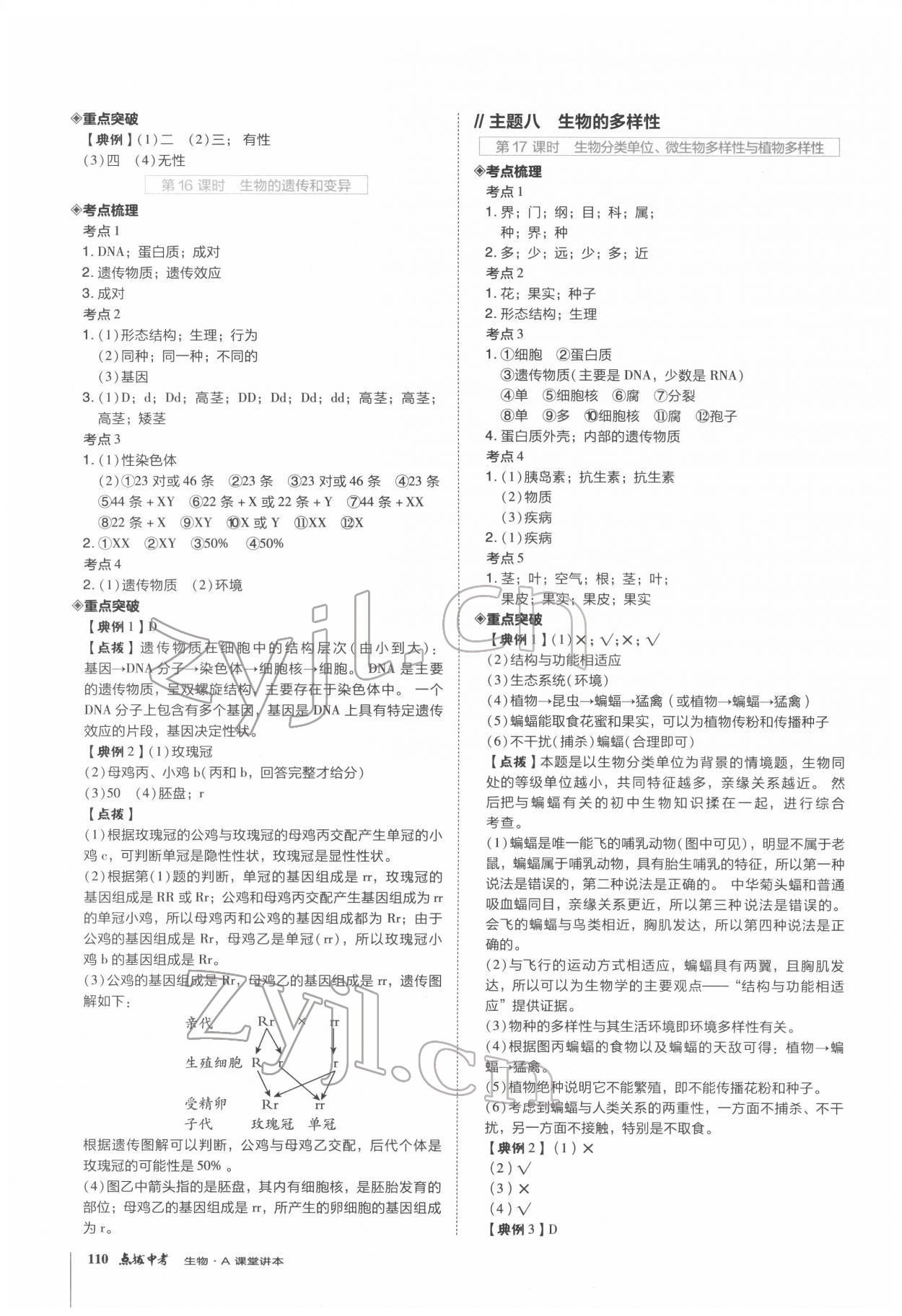 2022年榮德基點撥中考生物福建專版 第7頁