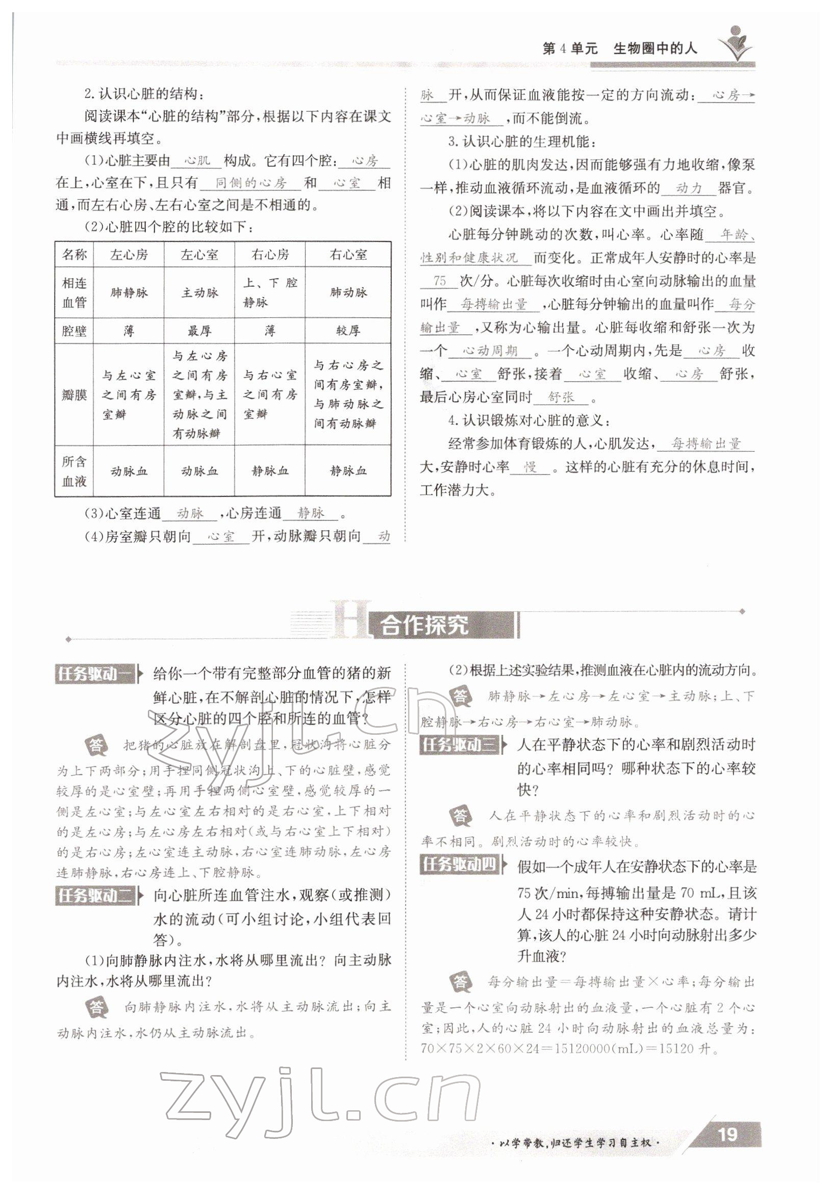 2022年三段六步導學案七年級生物下冊北師大版 參考答案第19頁